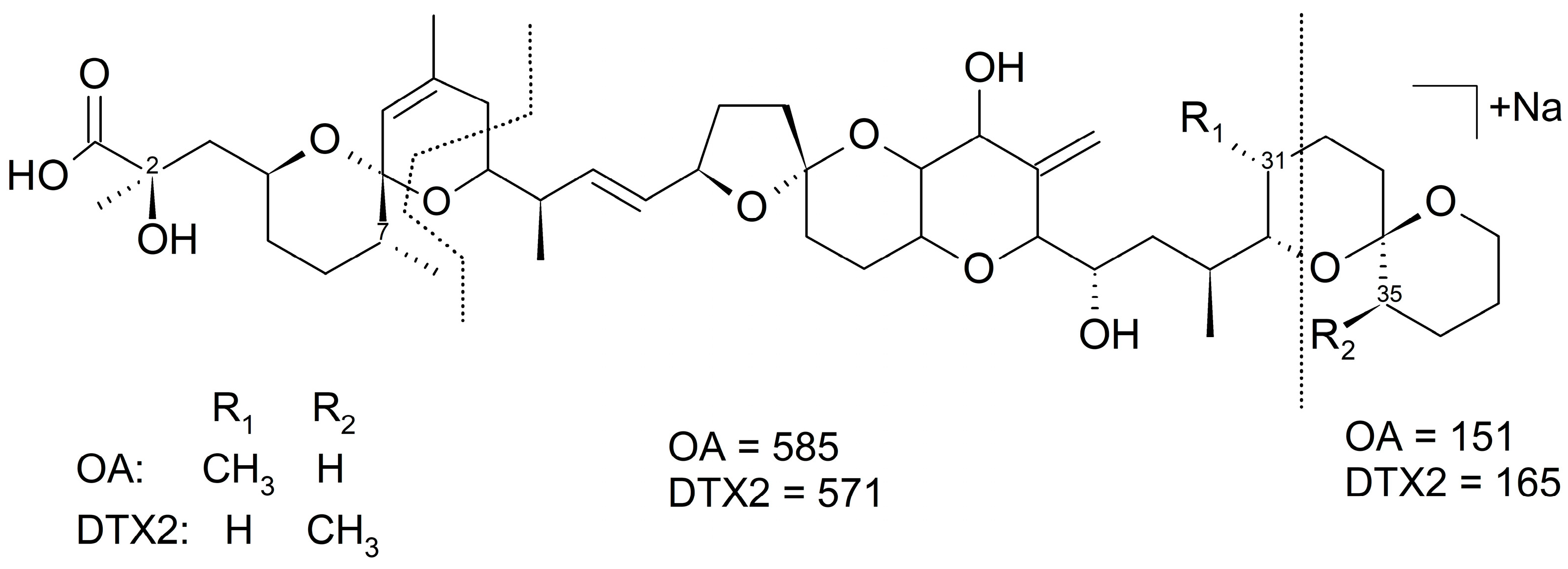 Toxins 18 00345 g001 Toxins 18 00345 g001