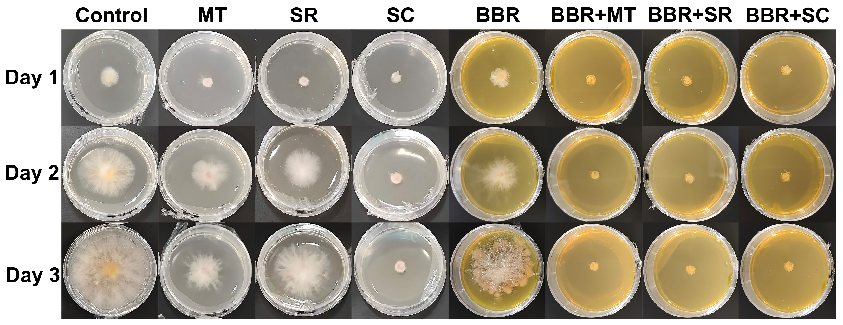 Toxins 18 00348 g001