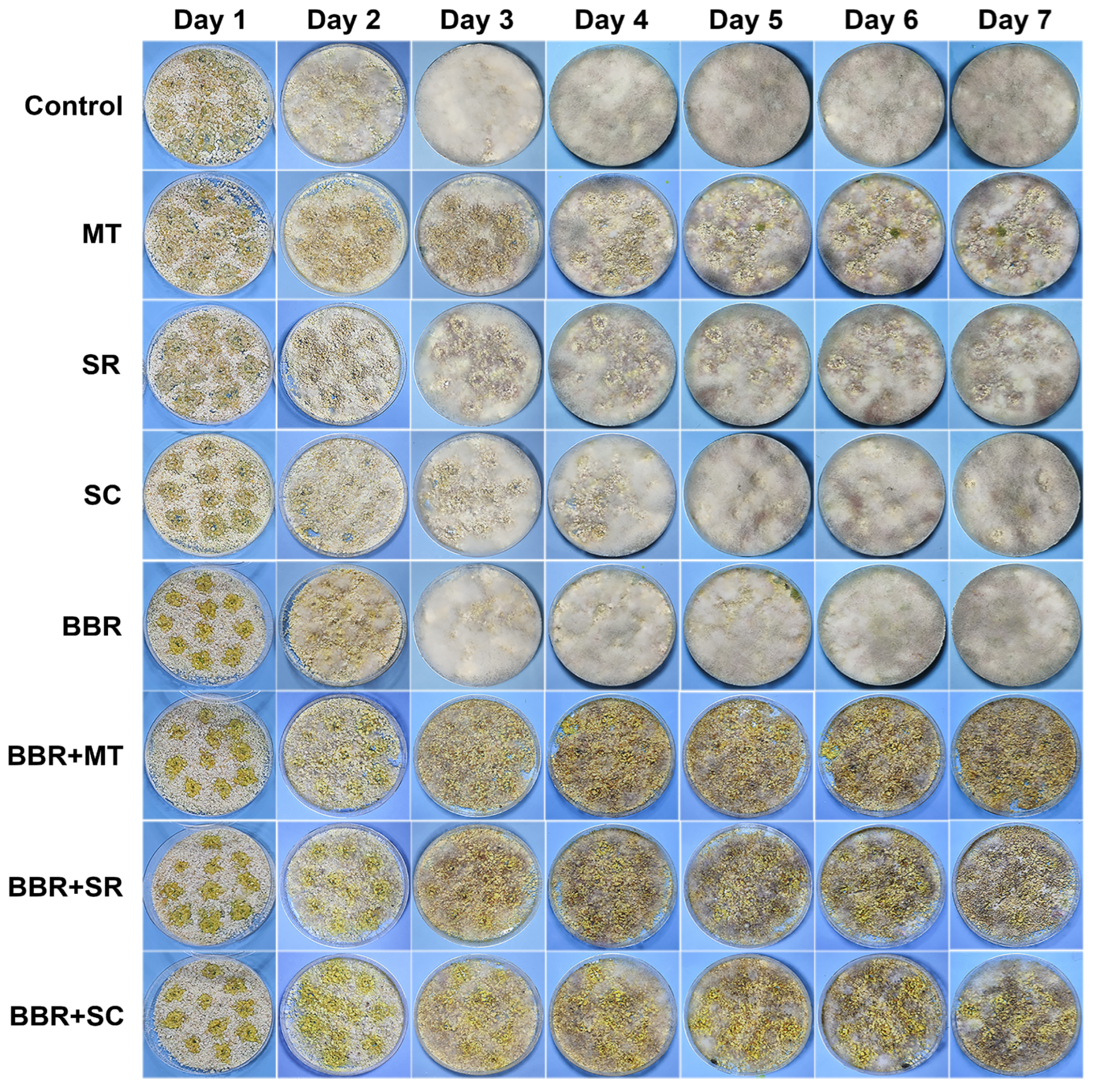 Toxins 18 00348 g002