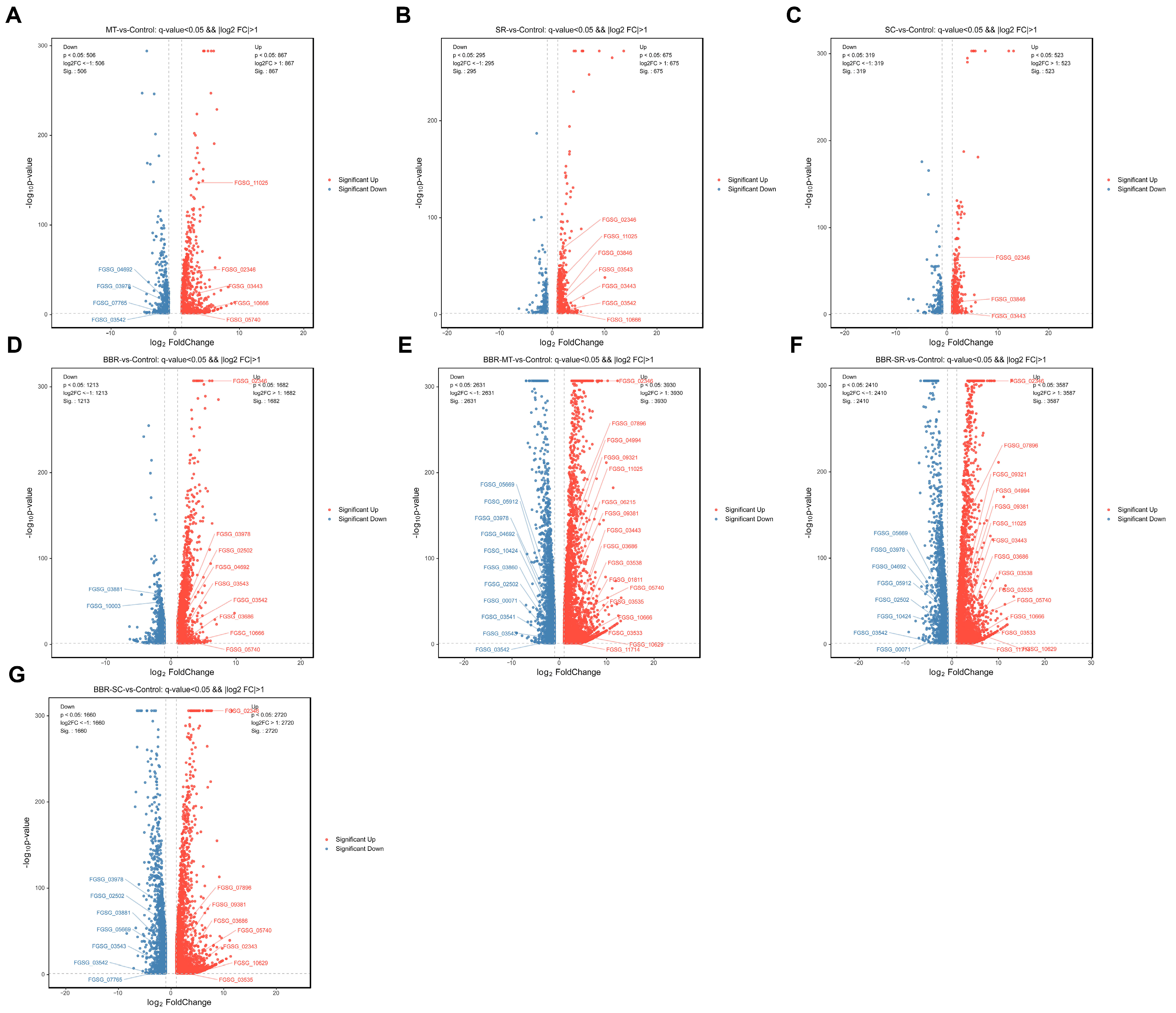 Toxins 18 00348 g007
