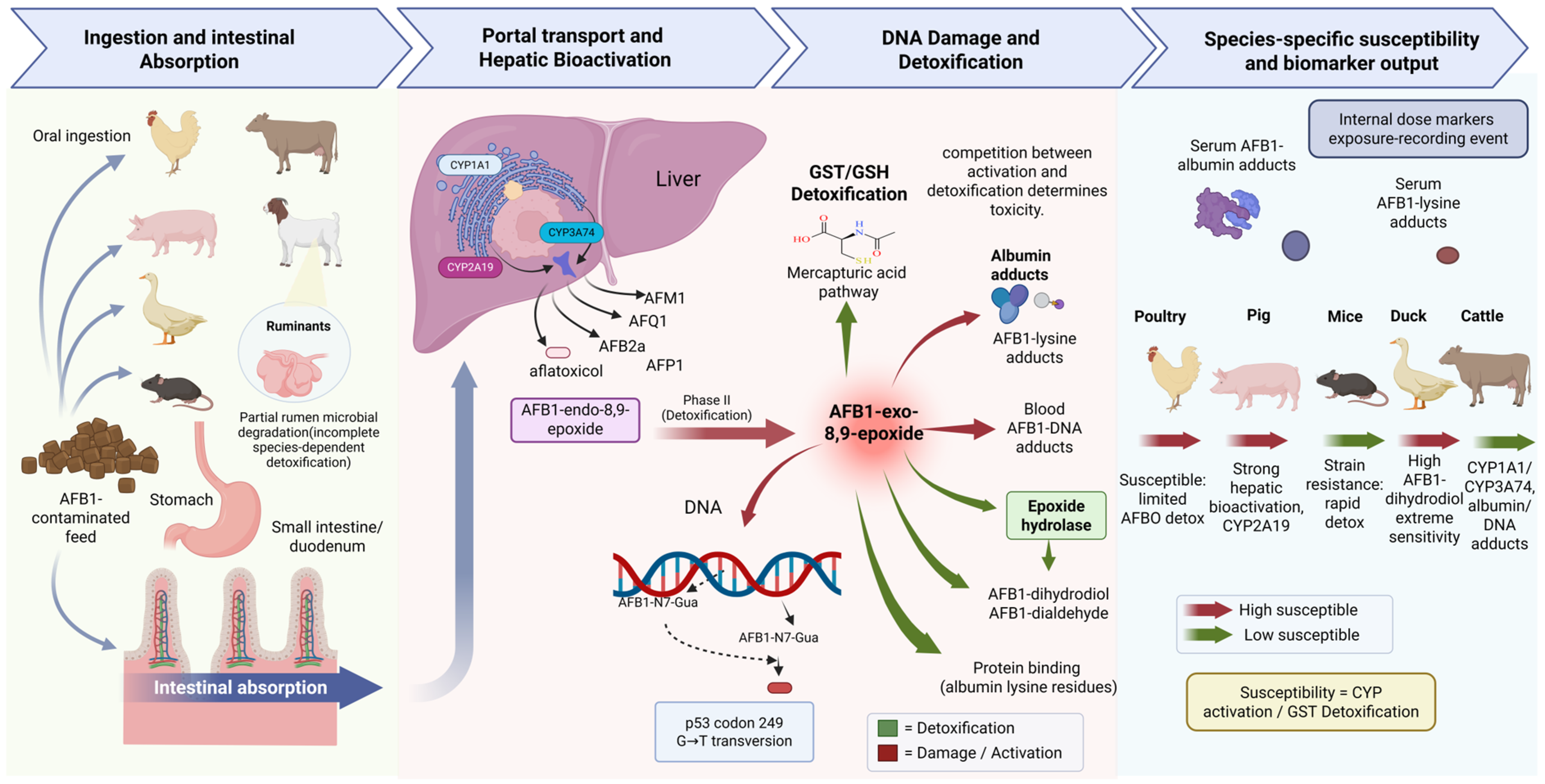 Toxins 18 00352 g001 Toxins 18 00352 g001