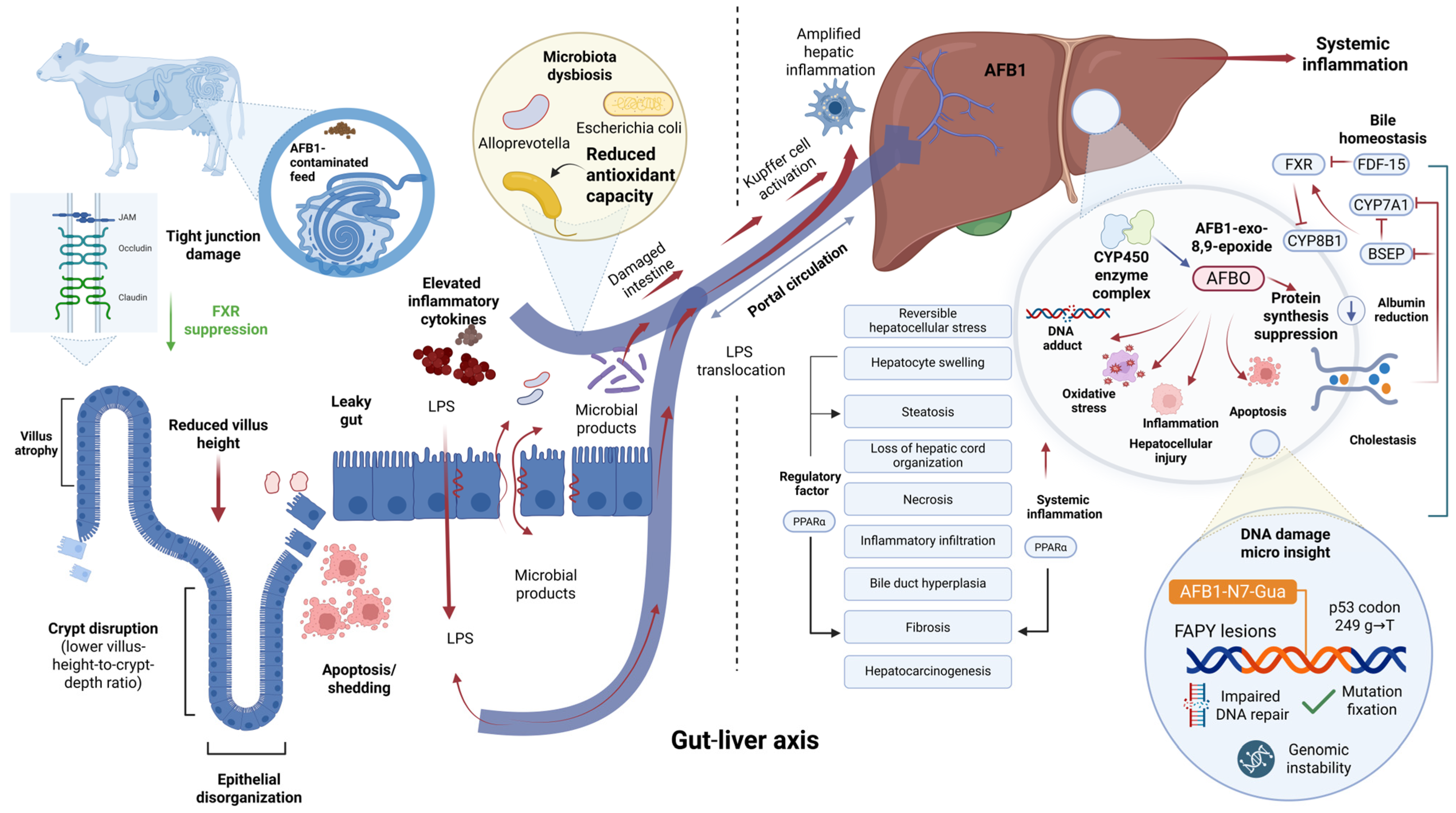 Toxins 18 00352 g002 Toxins 18 00352 g002