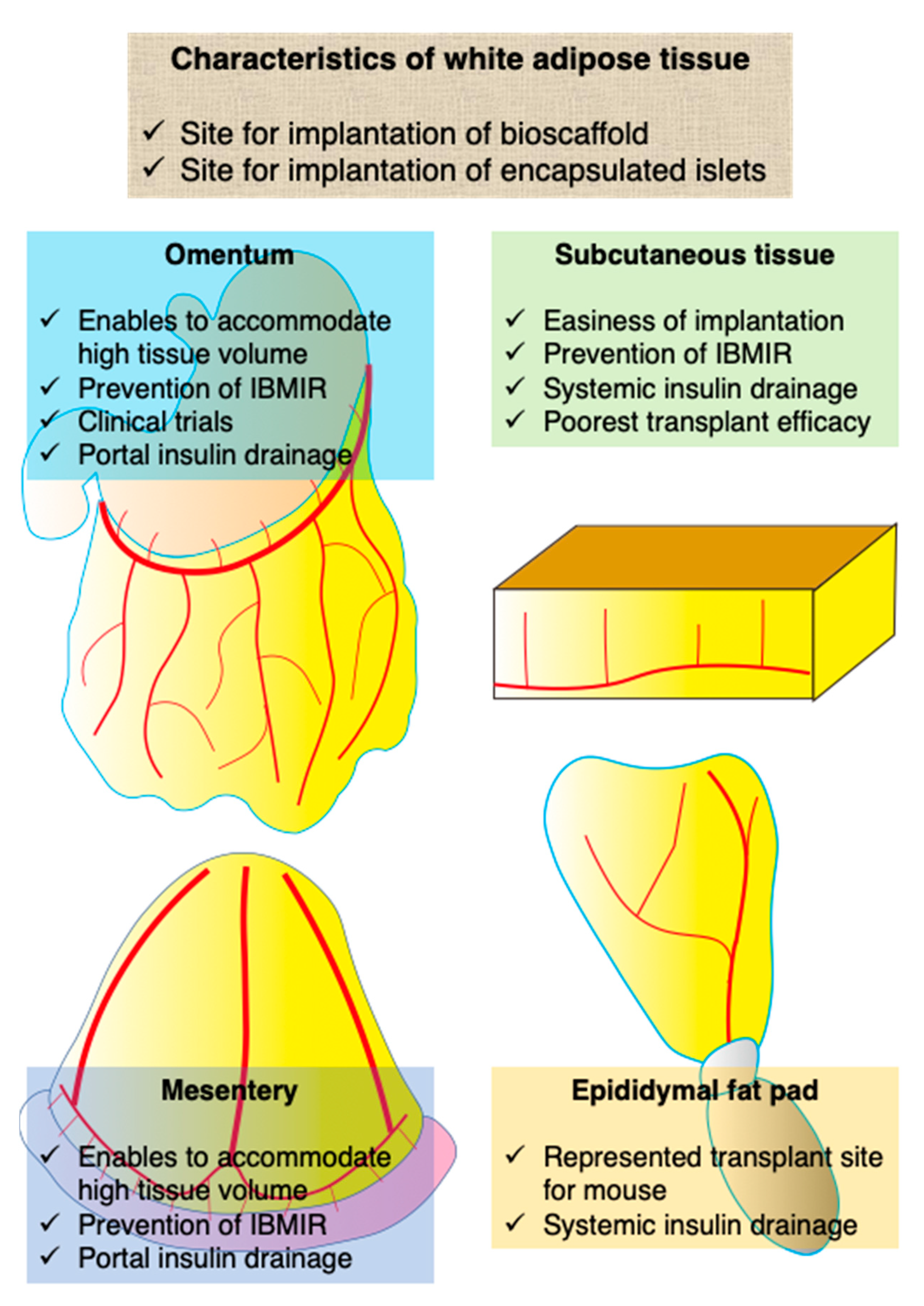Transplantology 01 00006 g001 Transplantology 01 00006 g001