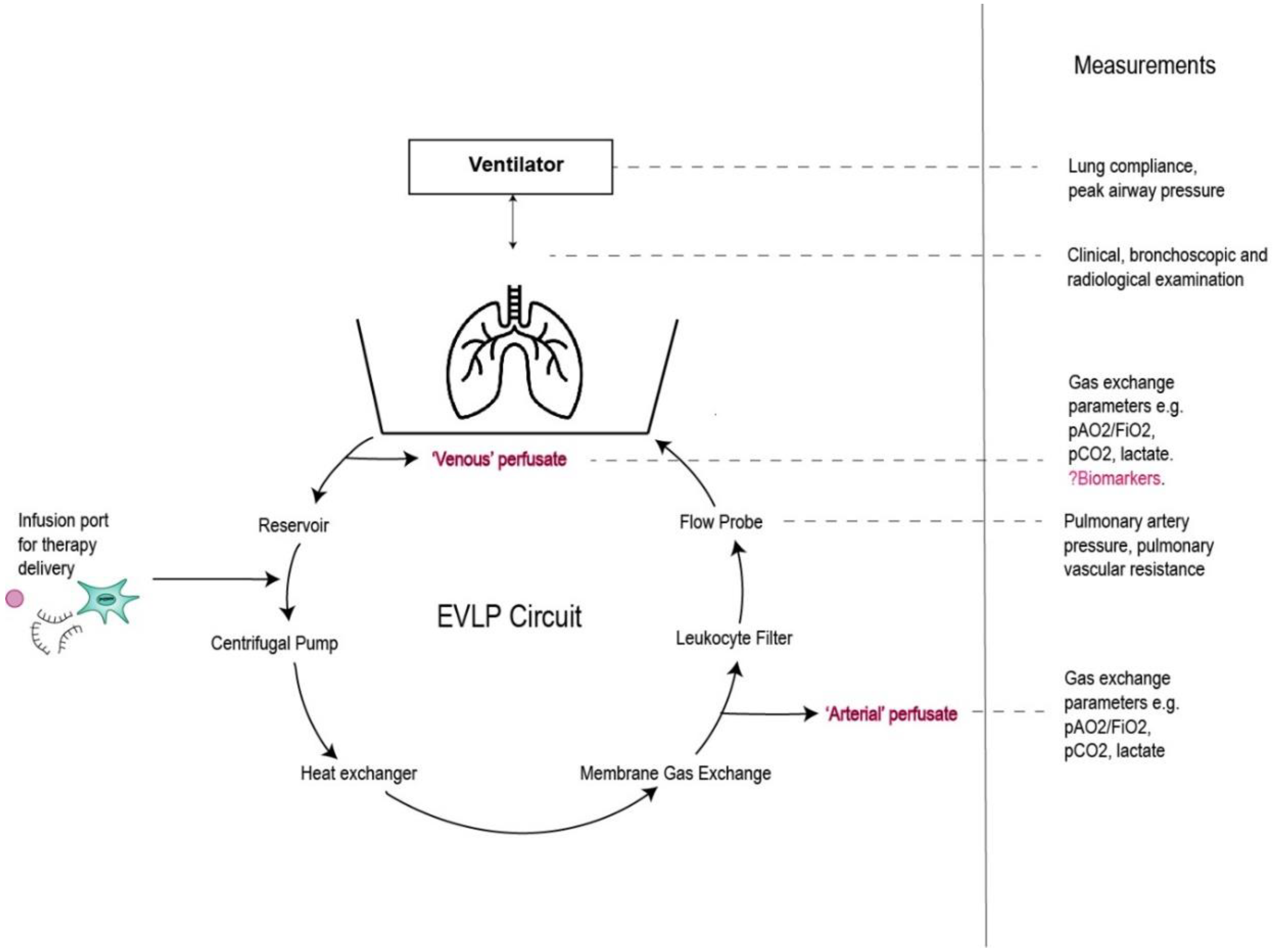 Transplantology 02 00037 g001
