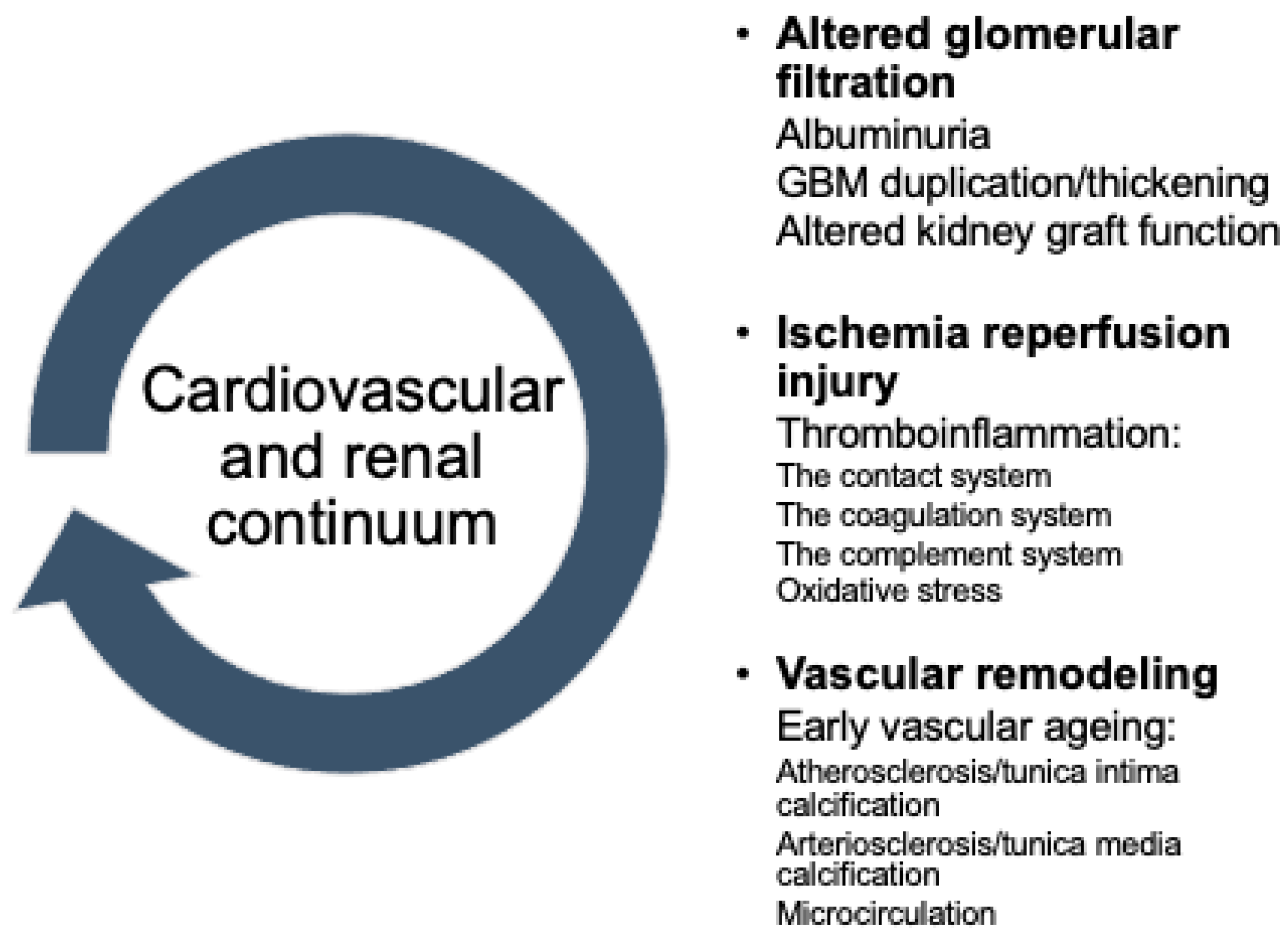 Transplantology 03 00017 g001