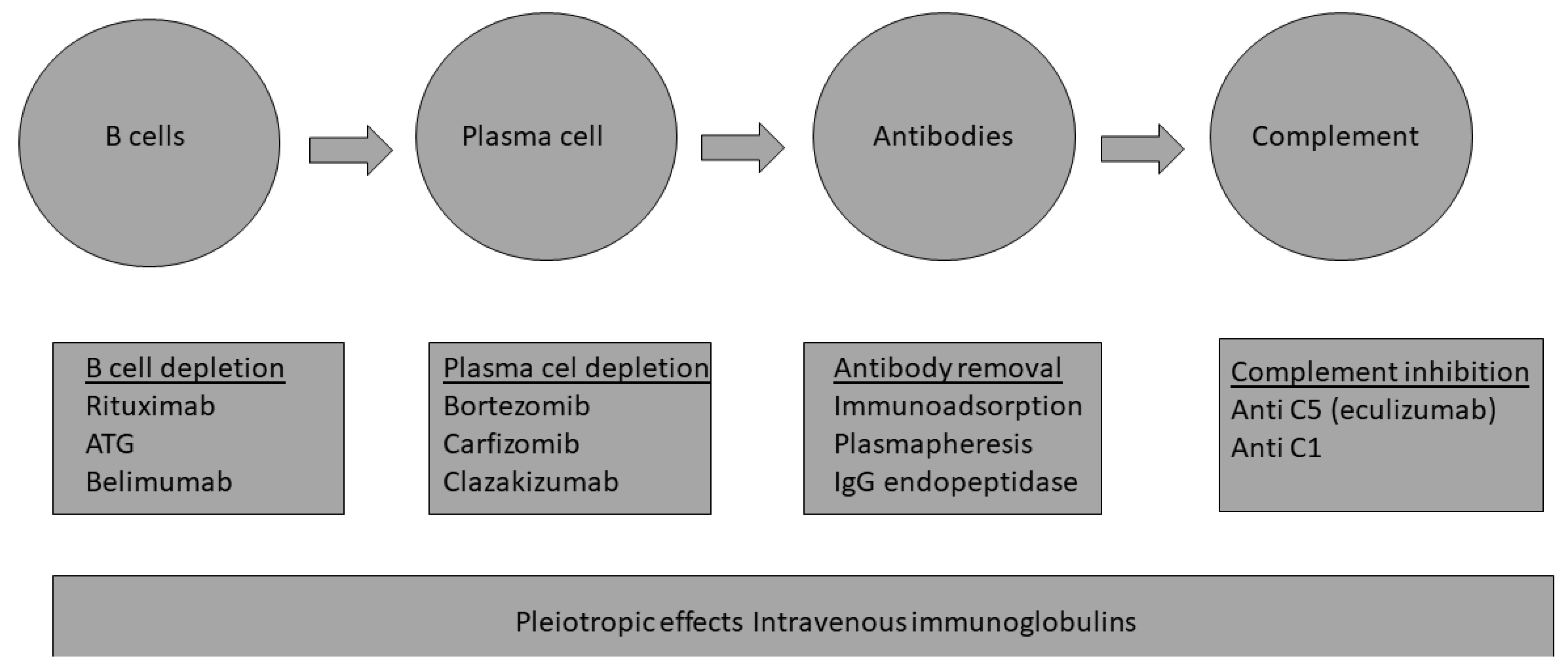 Transplantology 04 00009 g001
