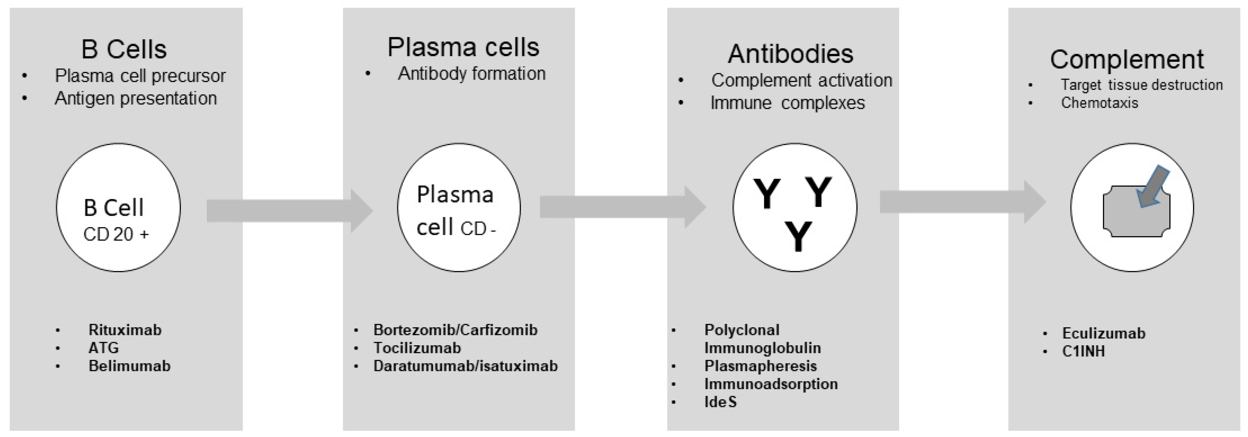 Transplantology 04 00014 g001