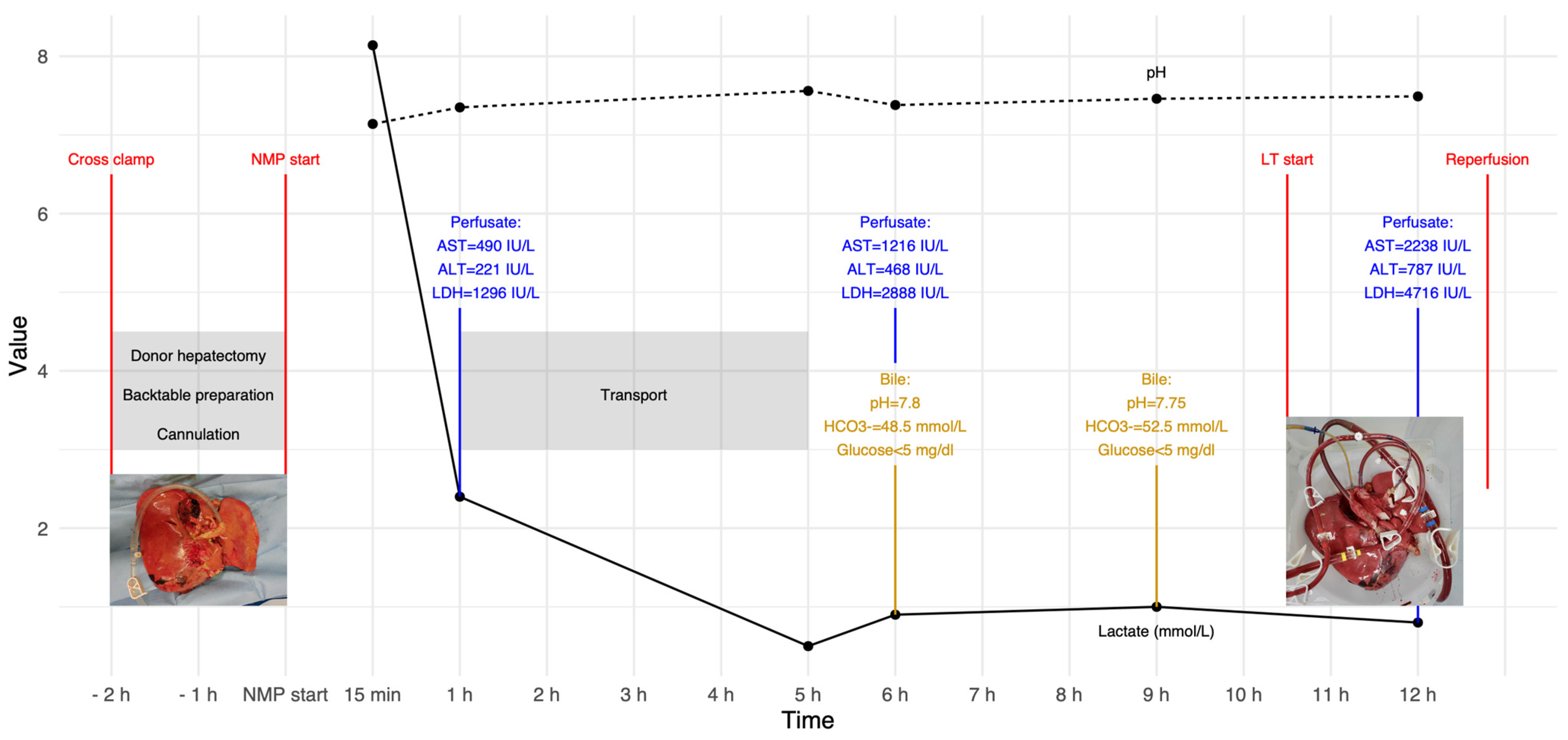 Transplantology 04 00015 g002