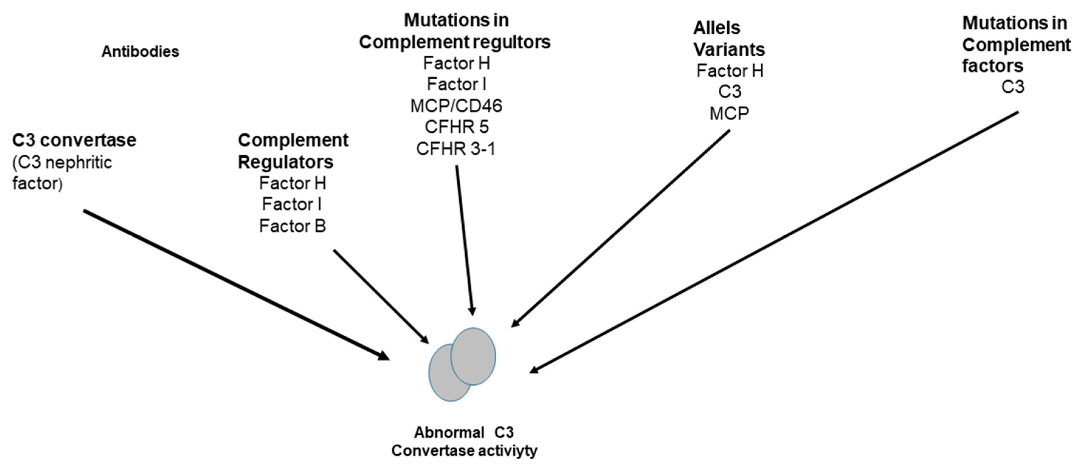 Transplantology 06 00014 g003 Transplantology 06 00014 g003