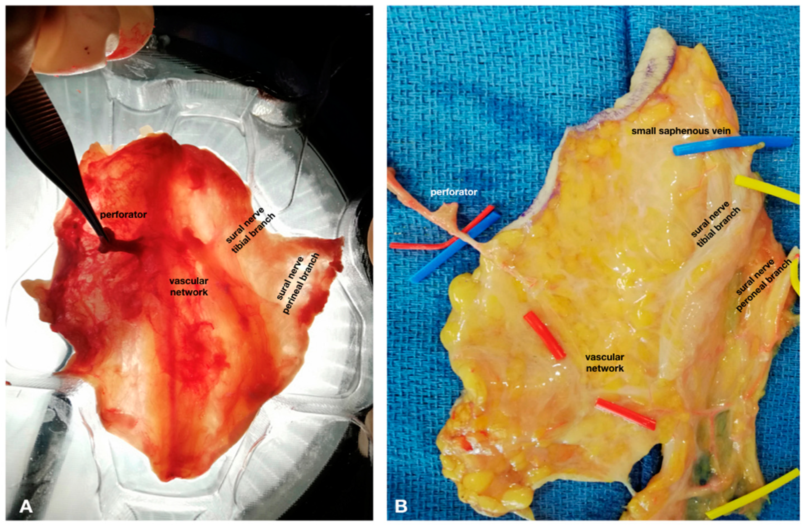 Traumacare 01 00002 g001