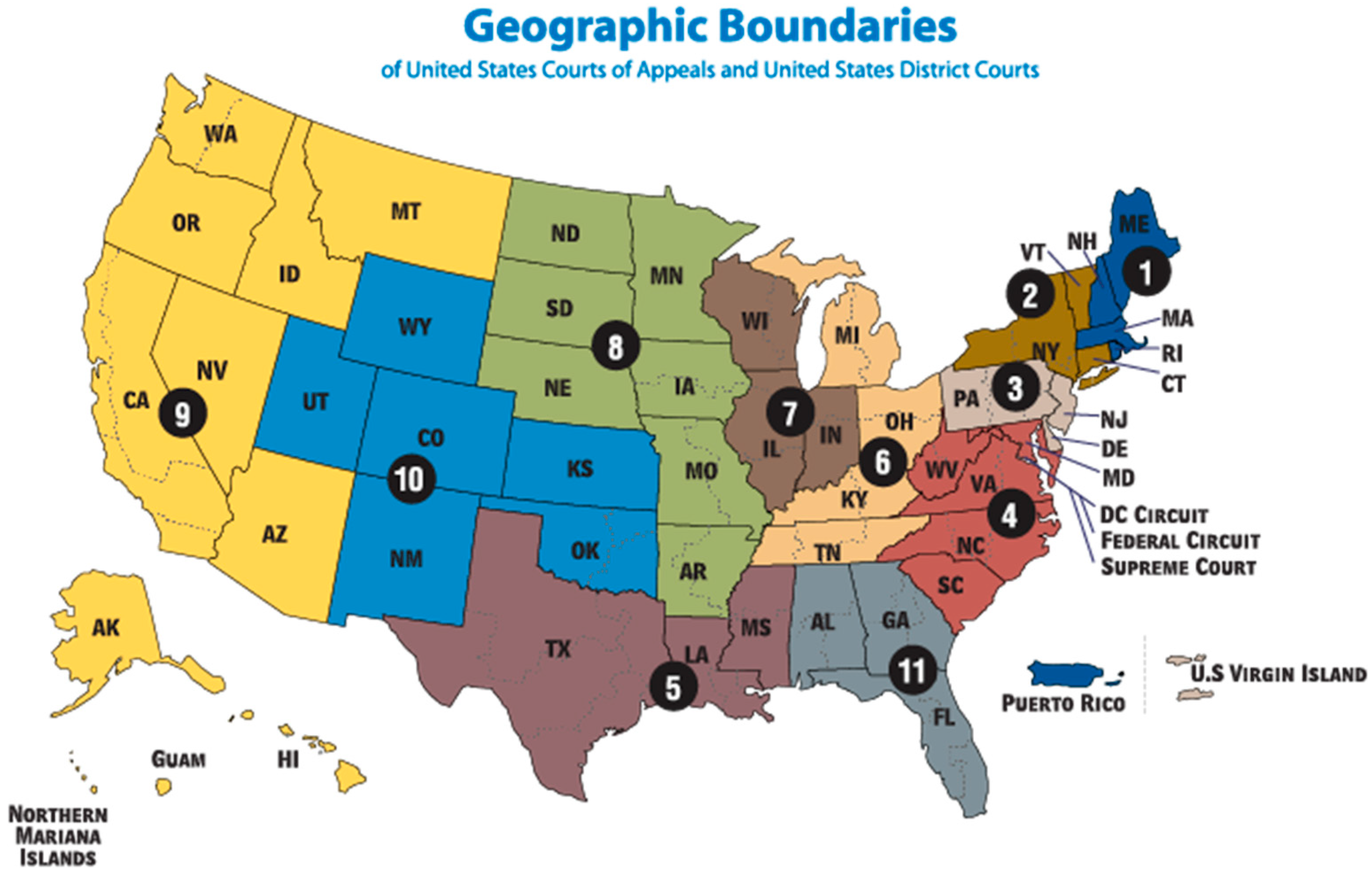 Traumacare 04 00011 g001