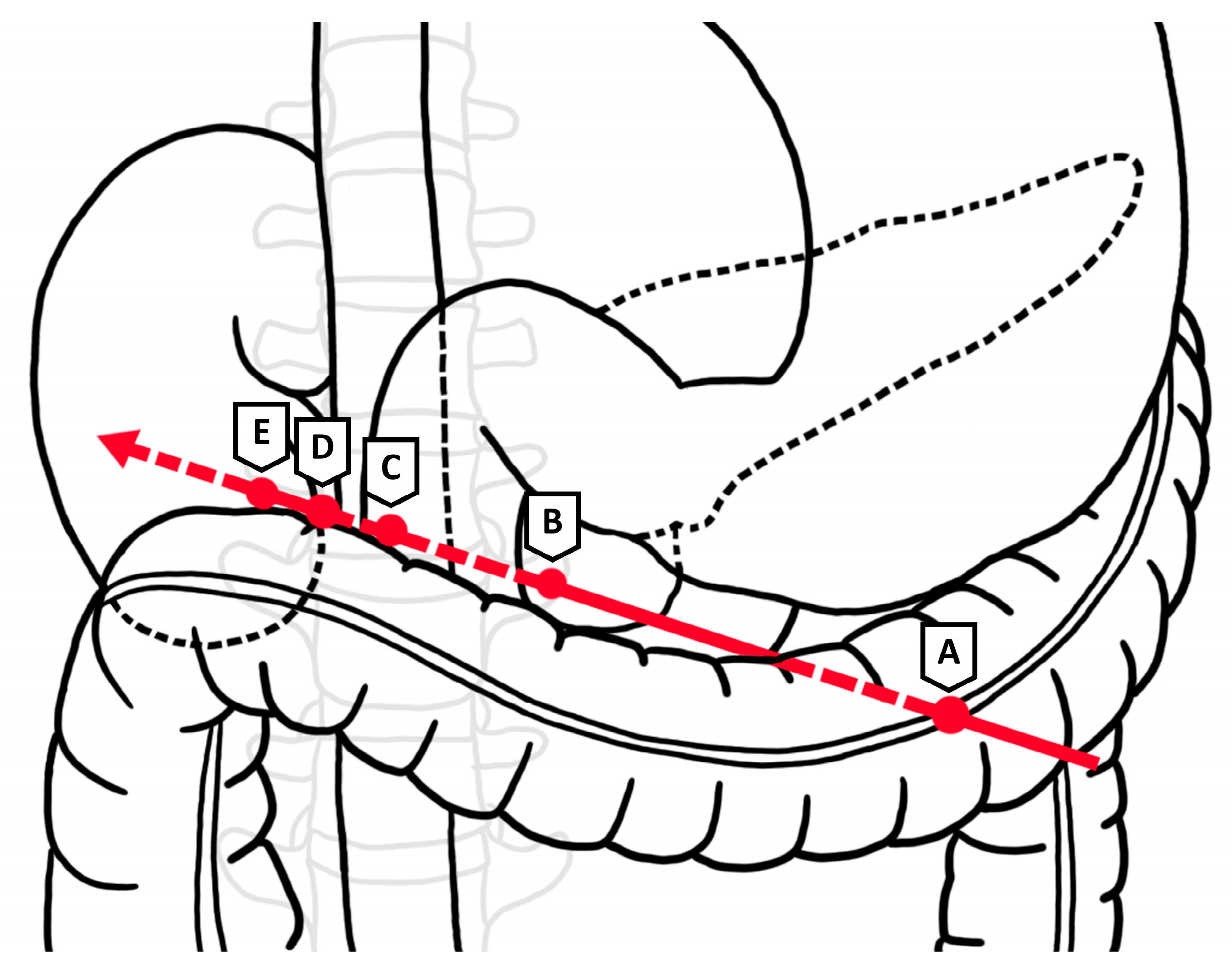 Traumacare 05 00017 g004 Traumacare 05 00017 g004