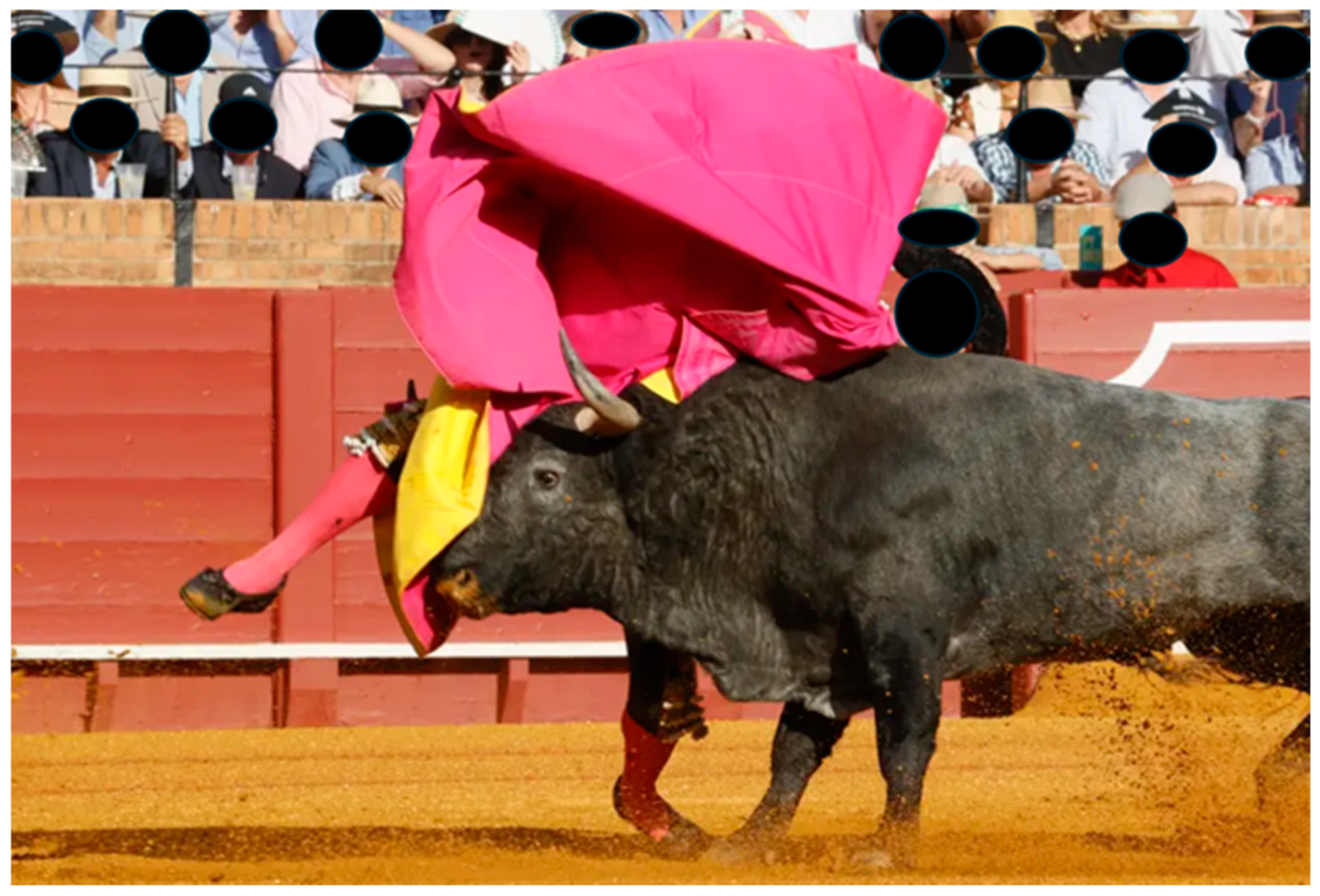 Traumacare 06 00002 g005