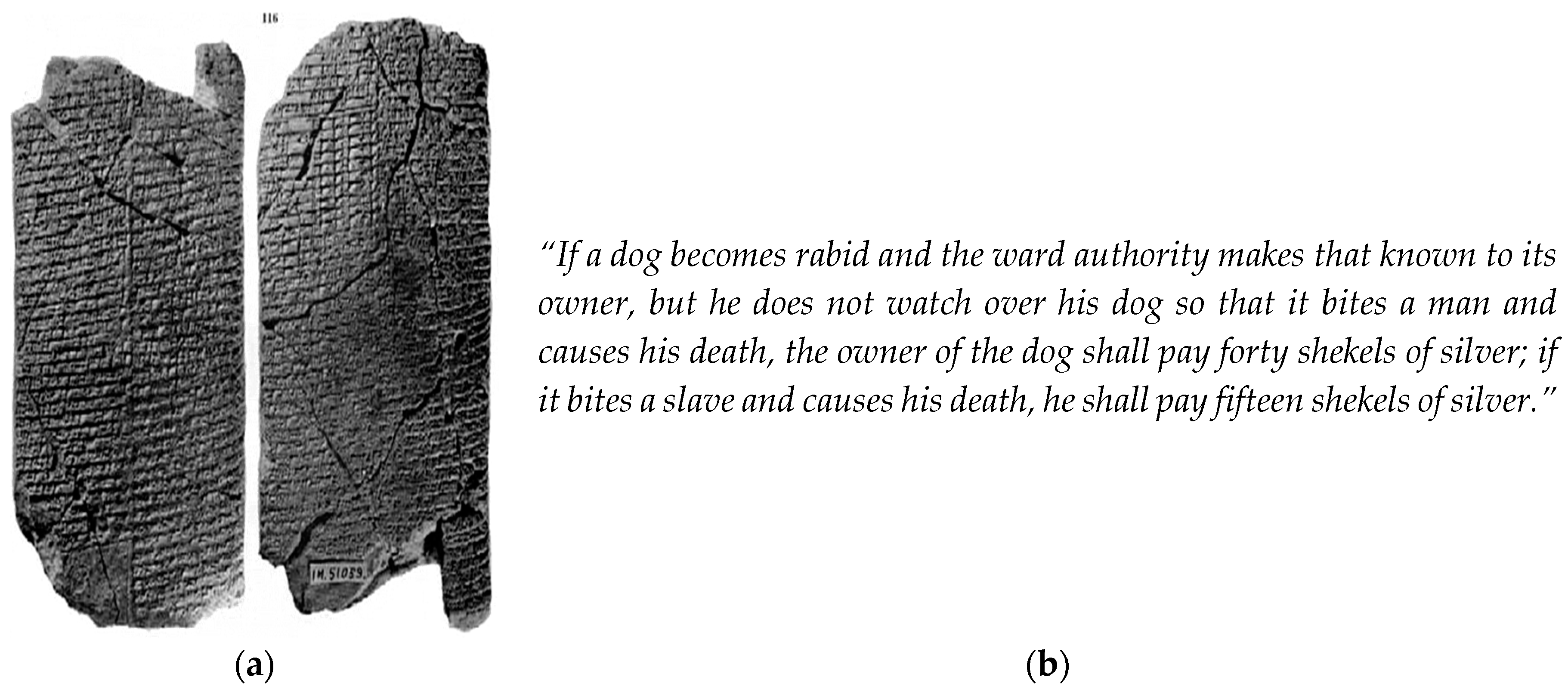 Tropicalmed 02 00005 g001