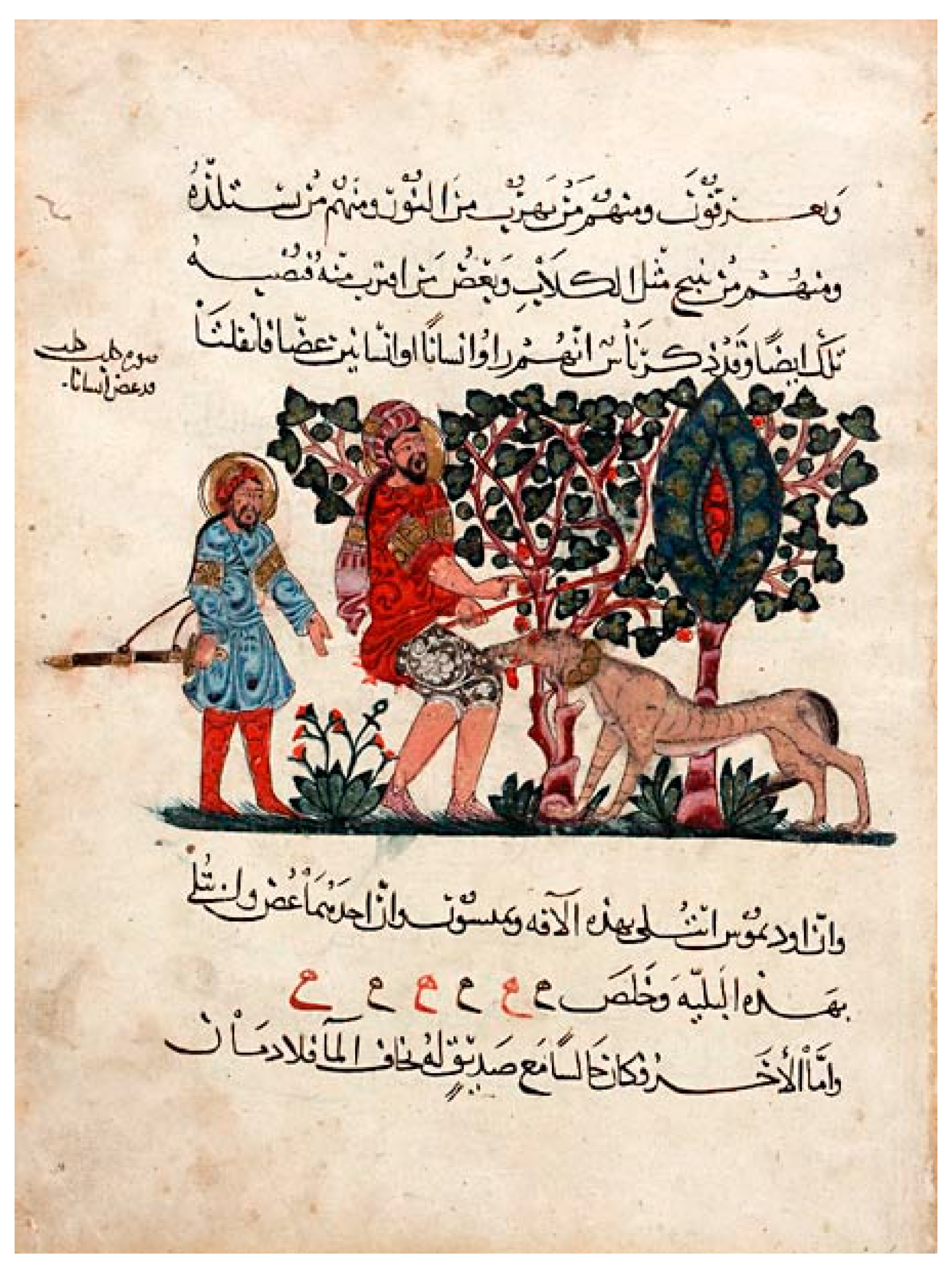 Tropicalmed 02 00005 g005