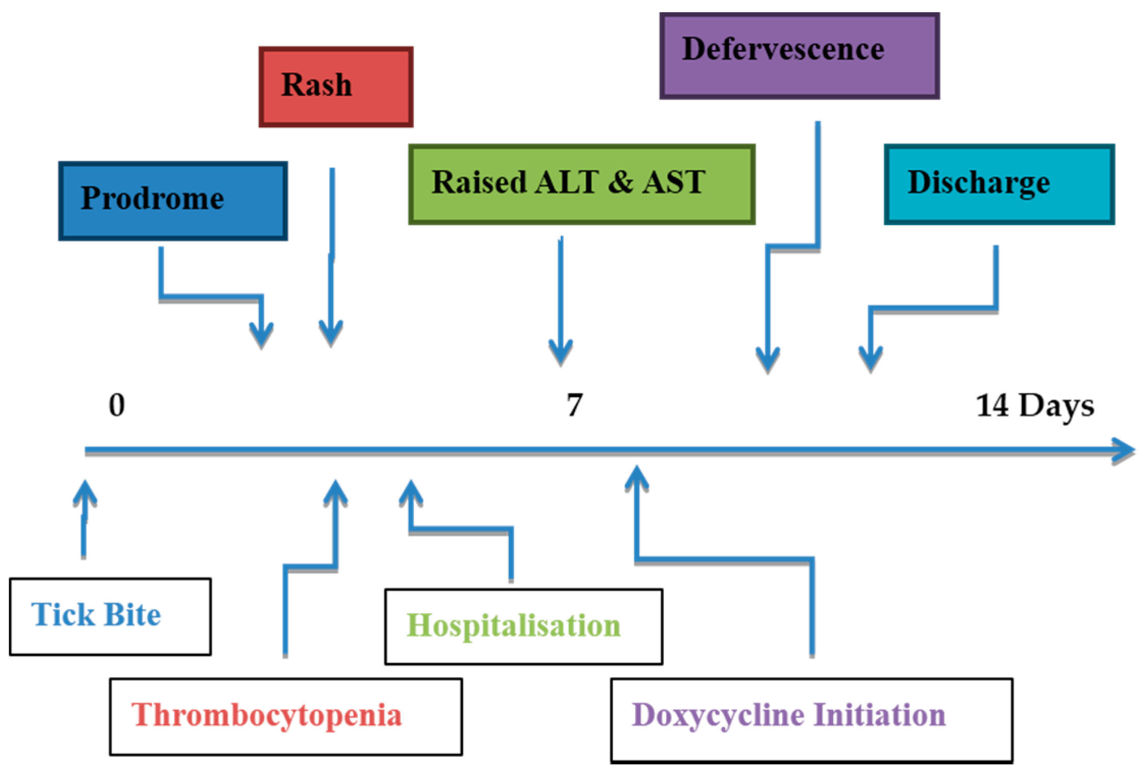 Tropicalmed 02 00019 g001