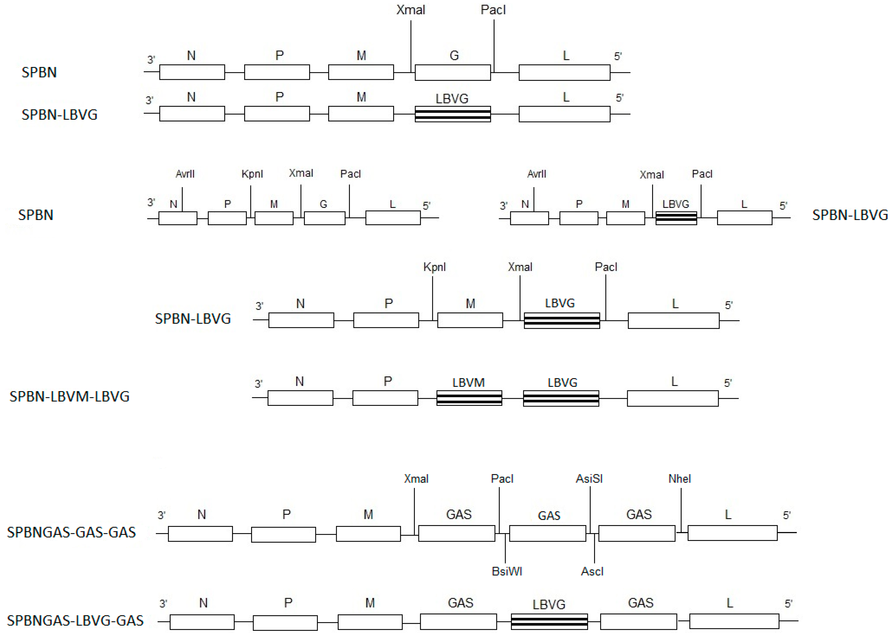 Tropicalmed 02 00037 g001