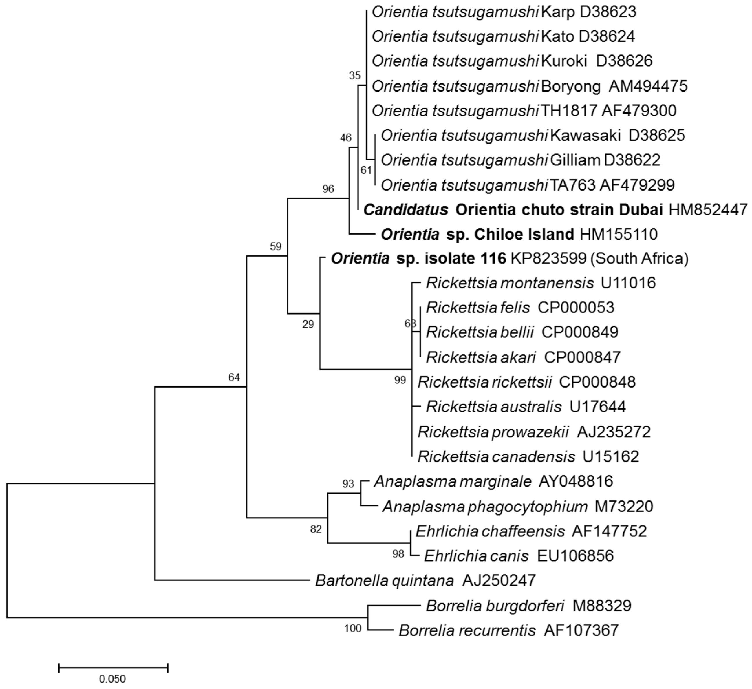 Tropicalmed 03 00011 g001