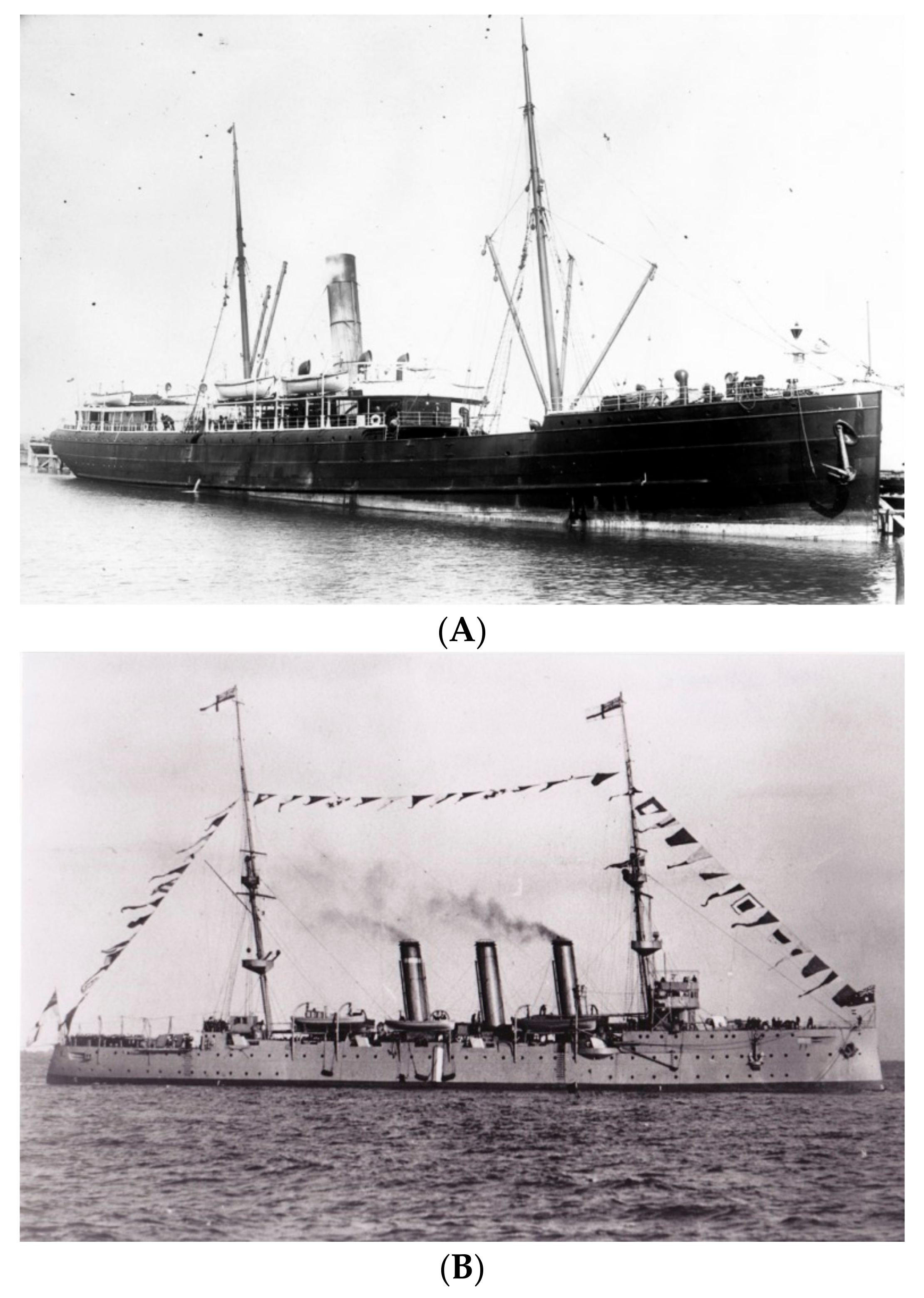 Tropicalmed 03 00017 g001