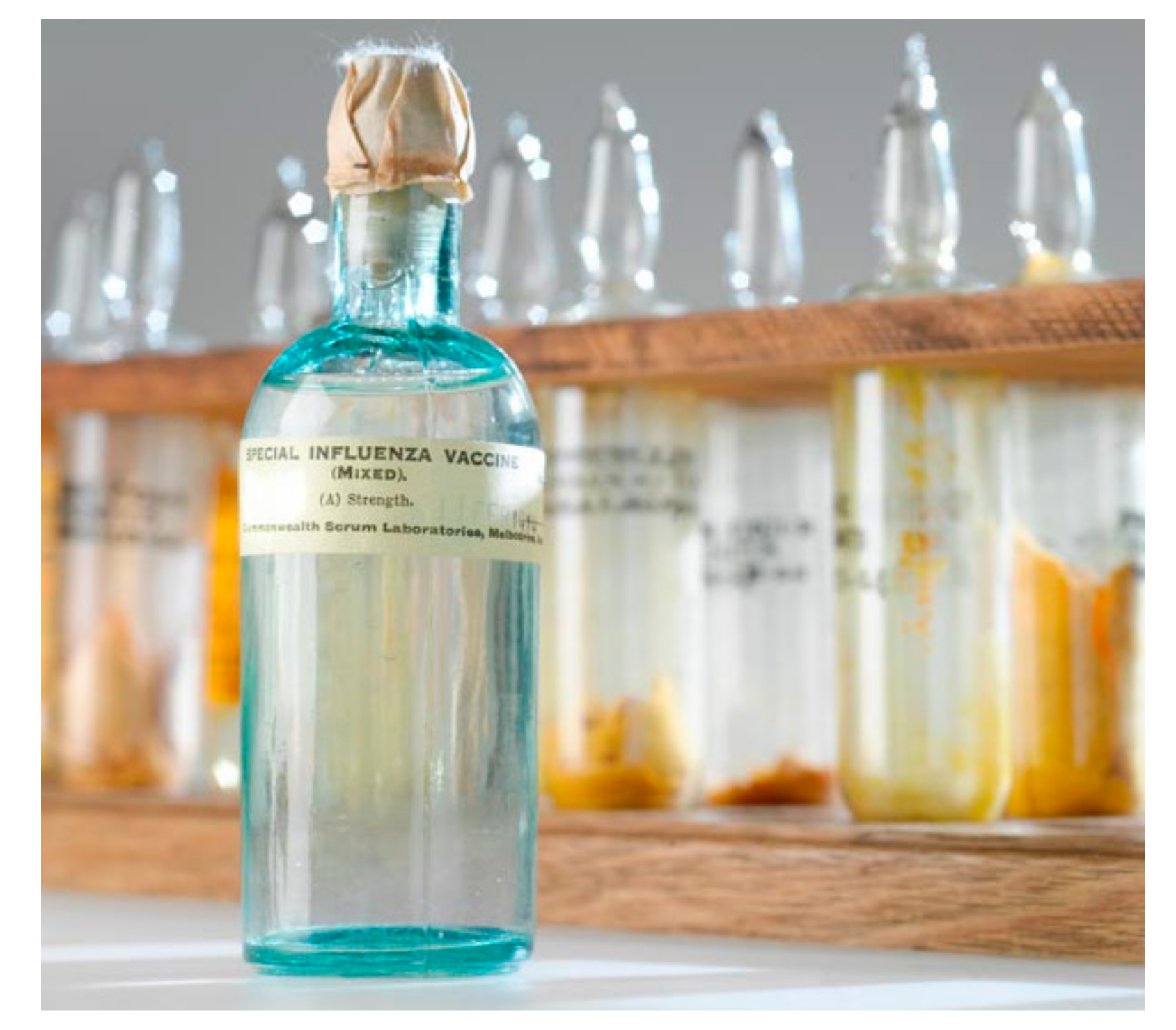 Tropicalmed 03 00017 g003