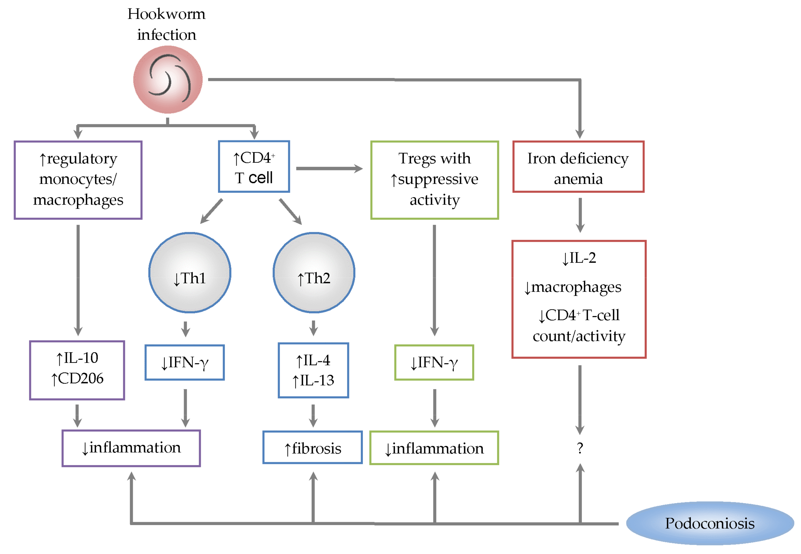 Tropicalmed 03 00037 g001