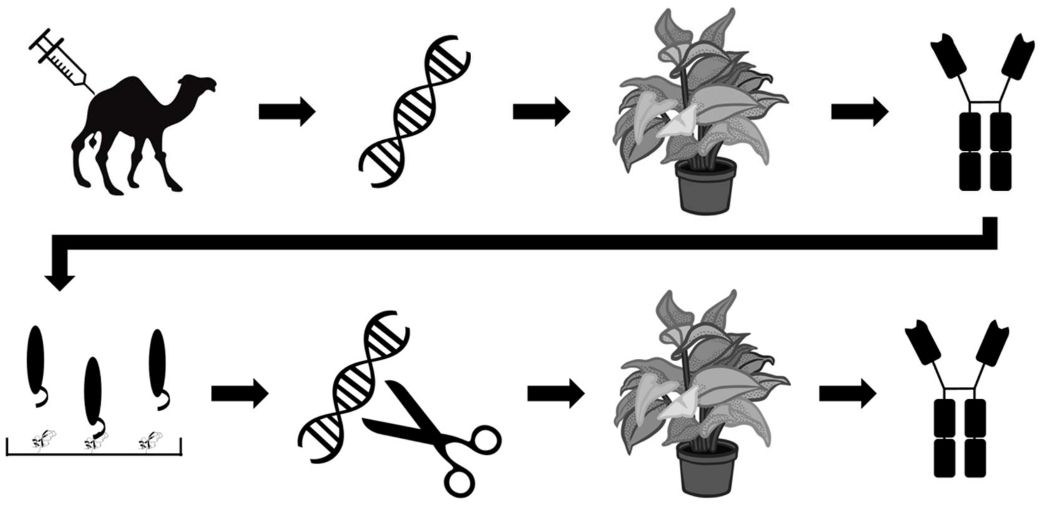 Tropicalmed 03 00042 g007
