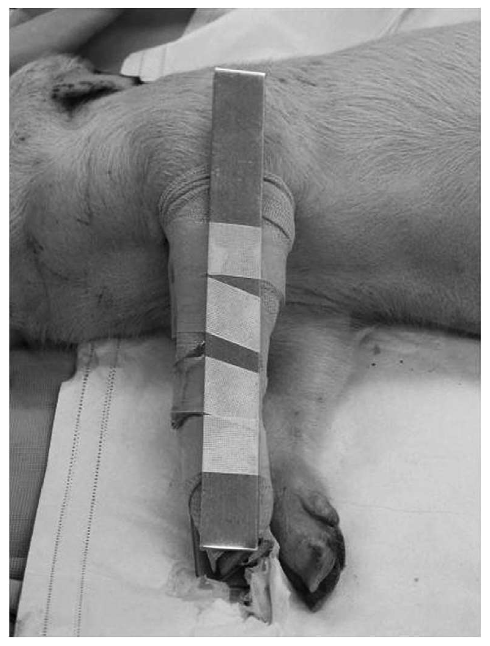 Tropicalmed 03 00045 g001