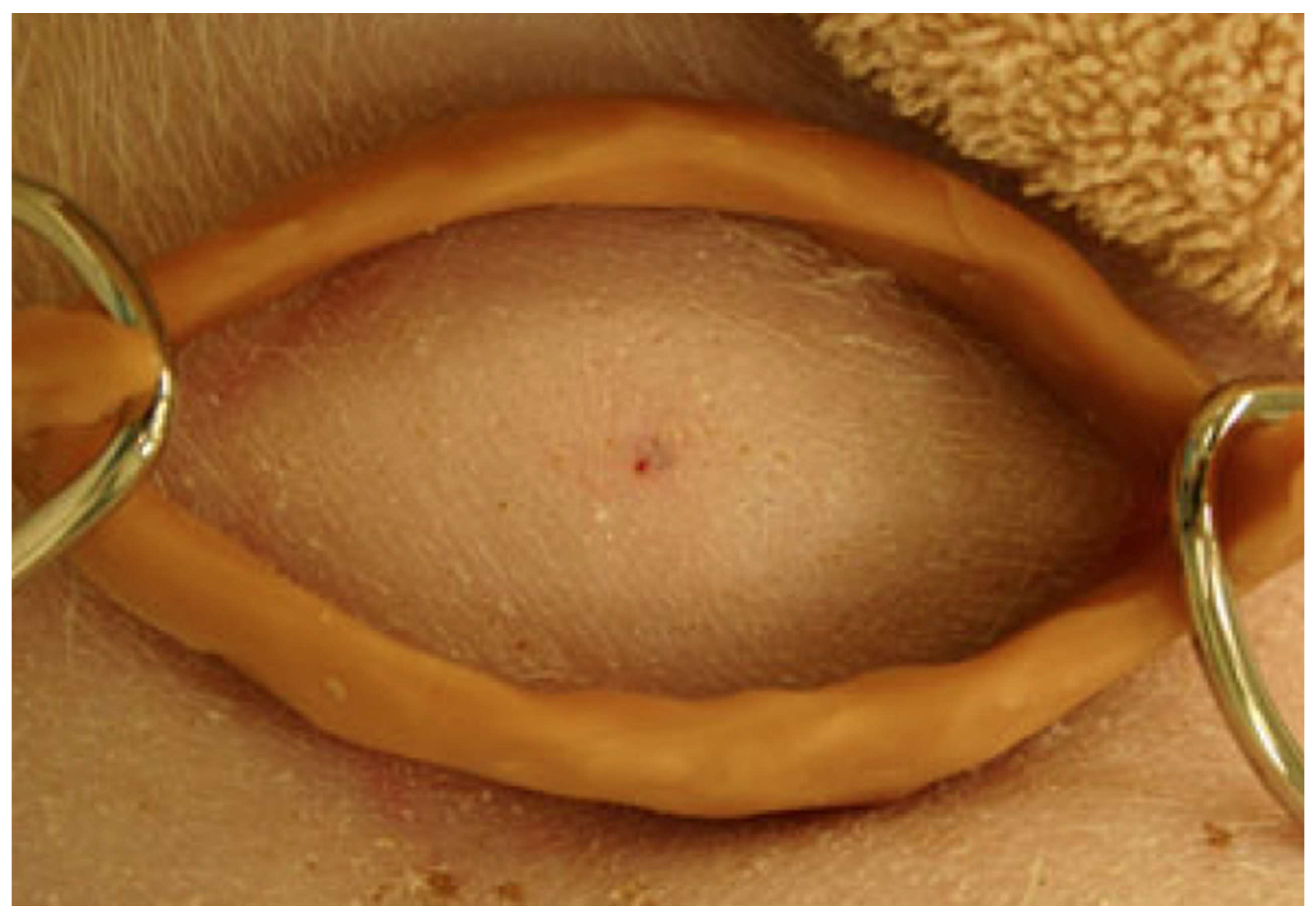 Tropicalmed 03 00045 g003