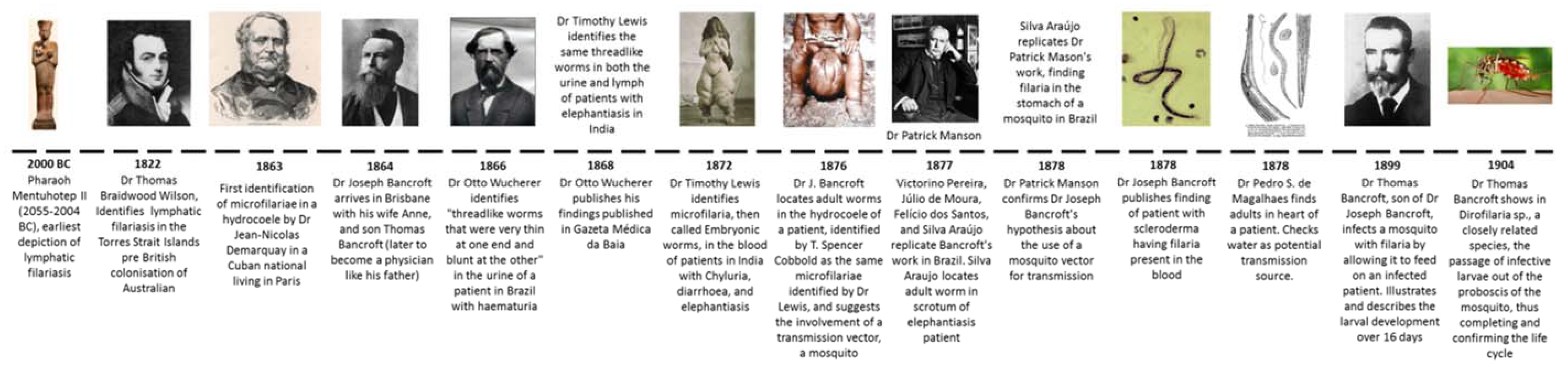 Tropicalmed 03 00058 g001 Tropicalmed 03 00058 g001