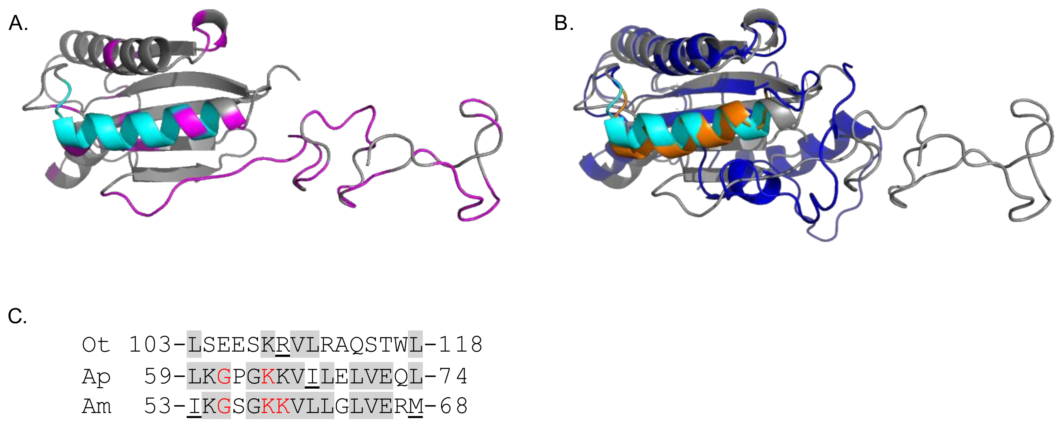 Tropicalmed 03 00063 g004