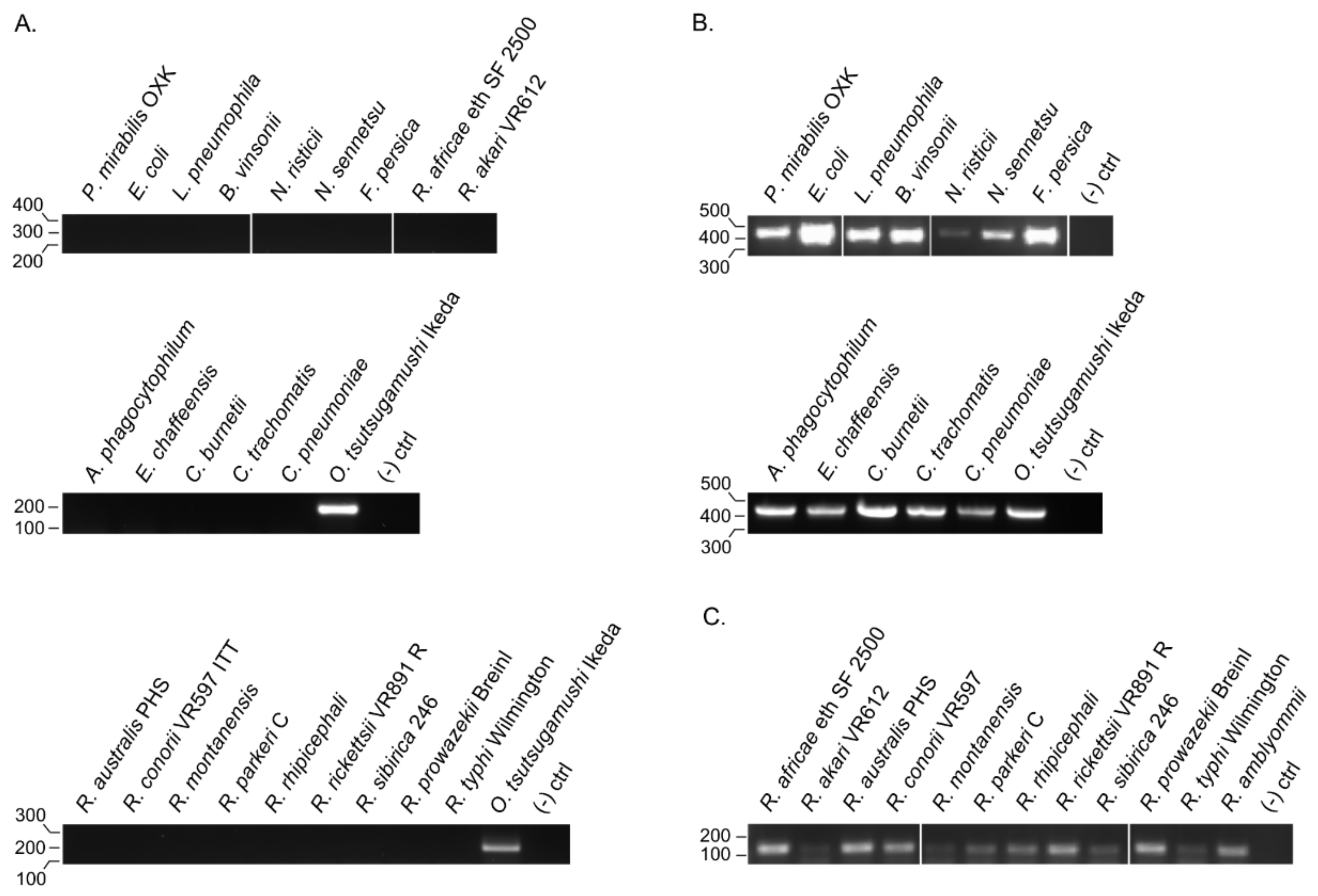 Tropicalmed 03 00063 g007