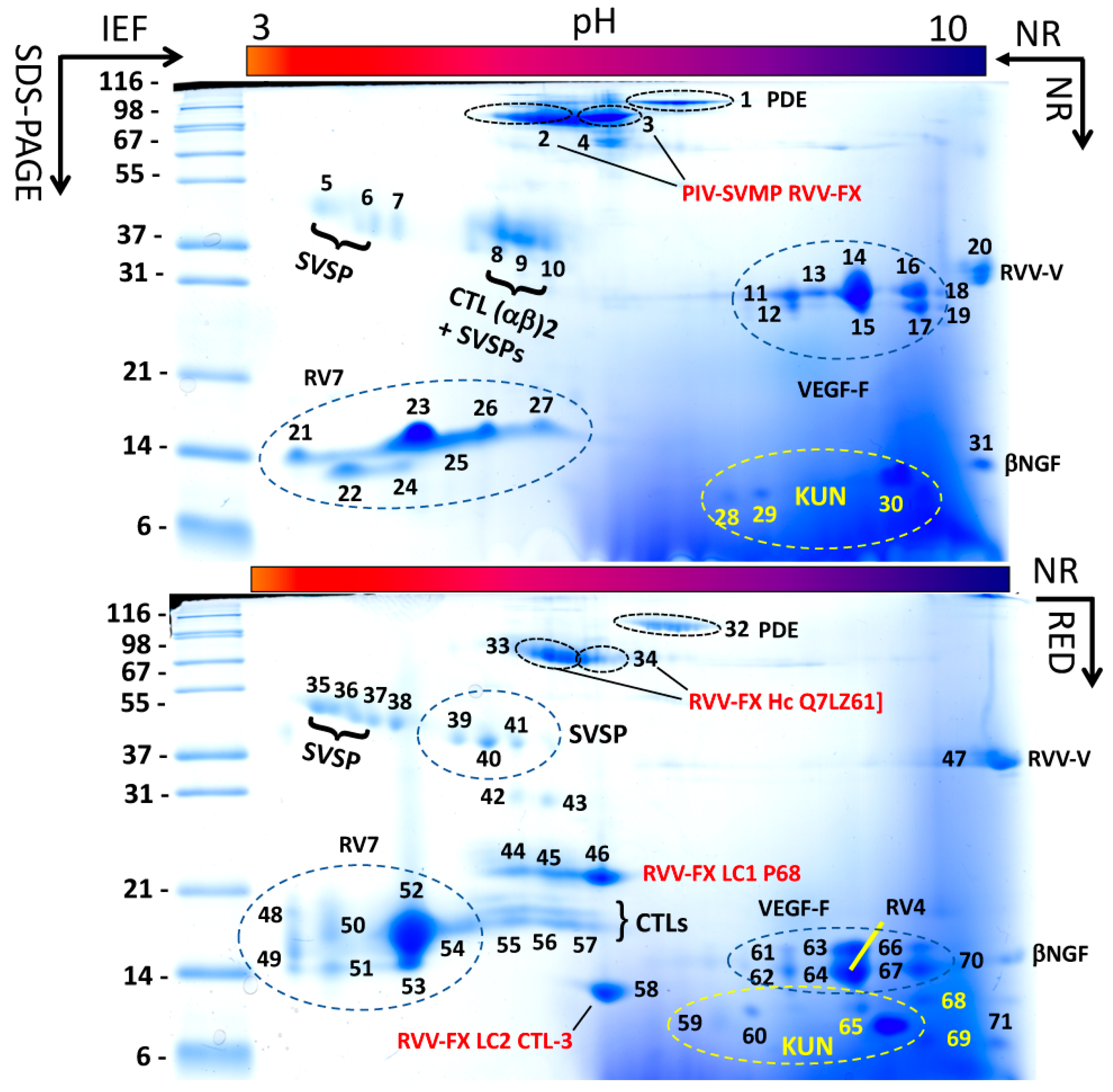 Tropicalmed 03 00066 g002