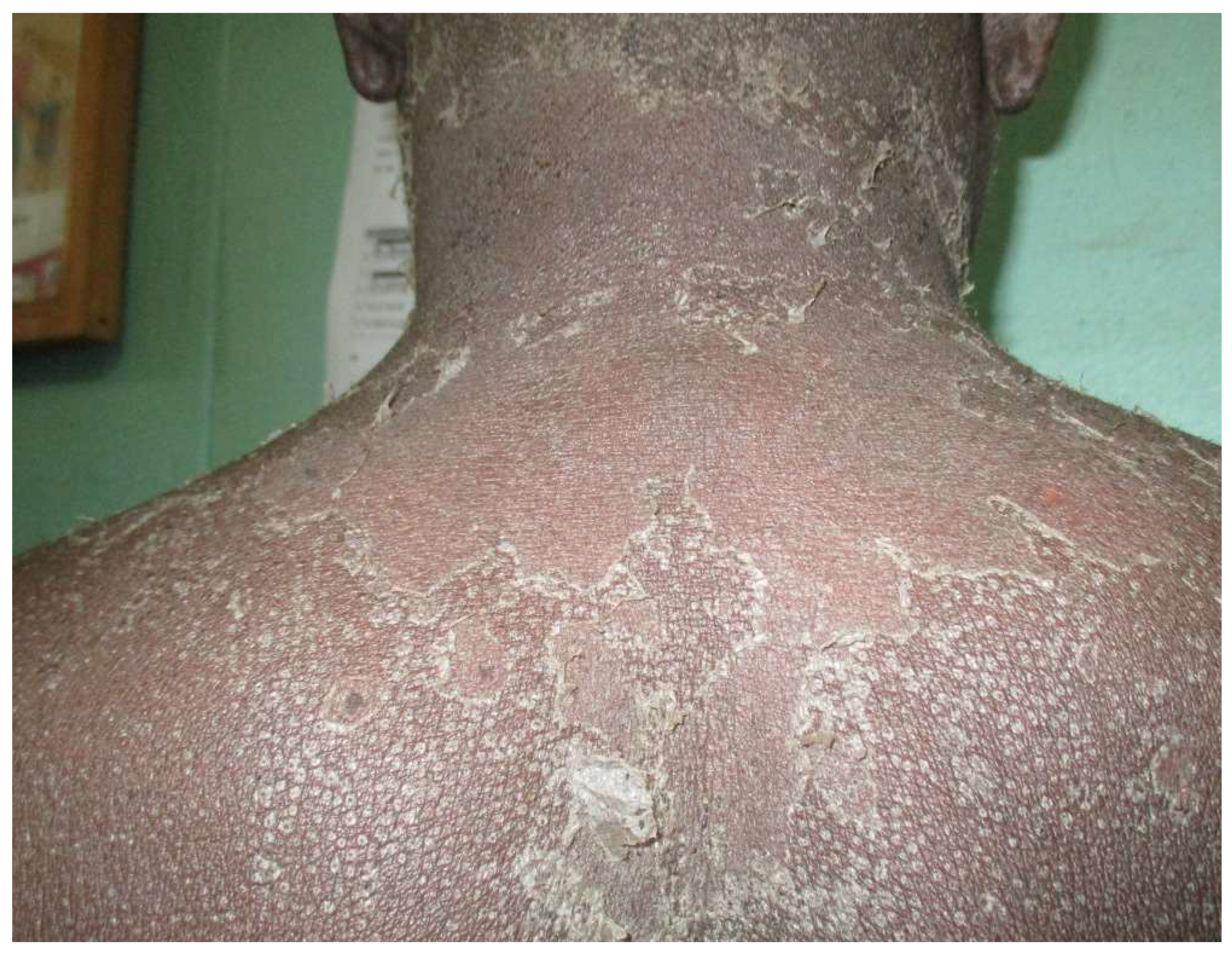 Tropicalmed 03 00088 g002