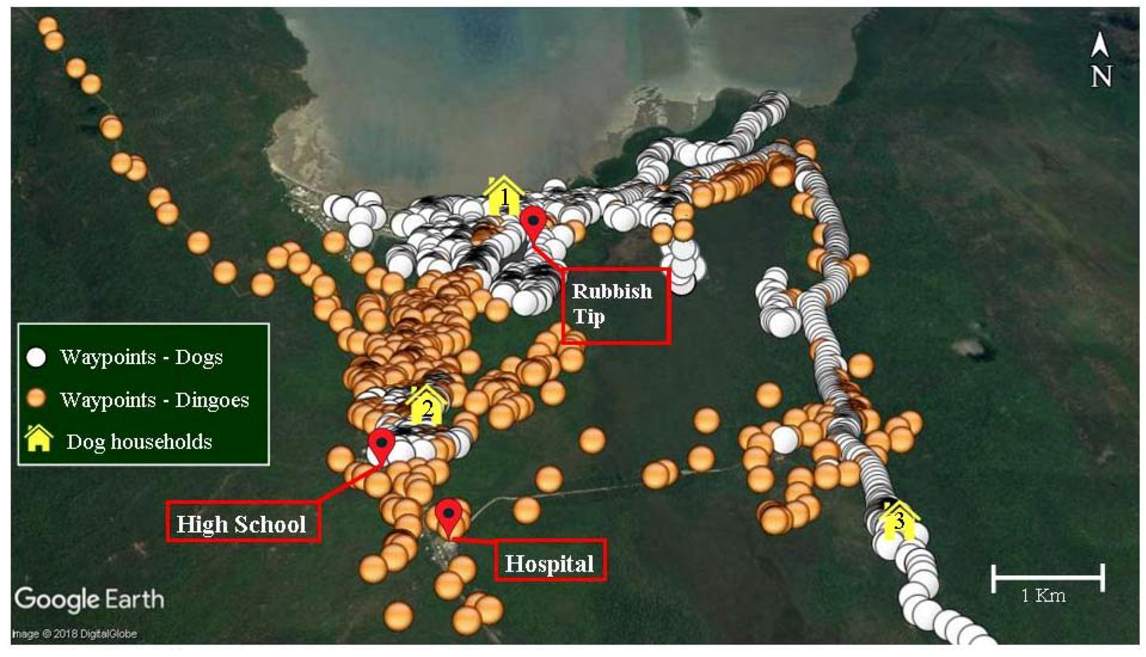Tropicalmed 03 00110 g003