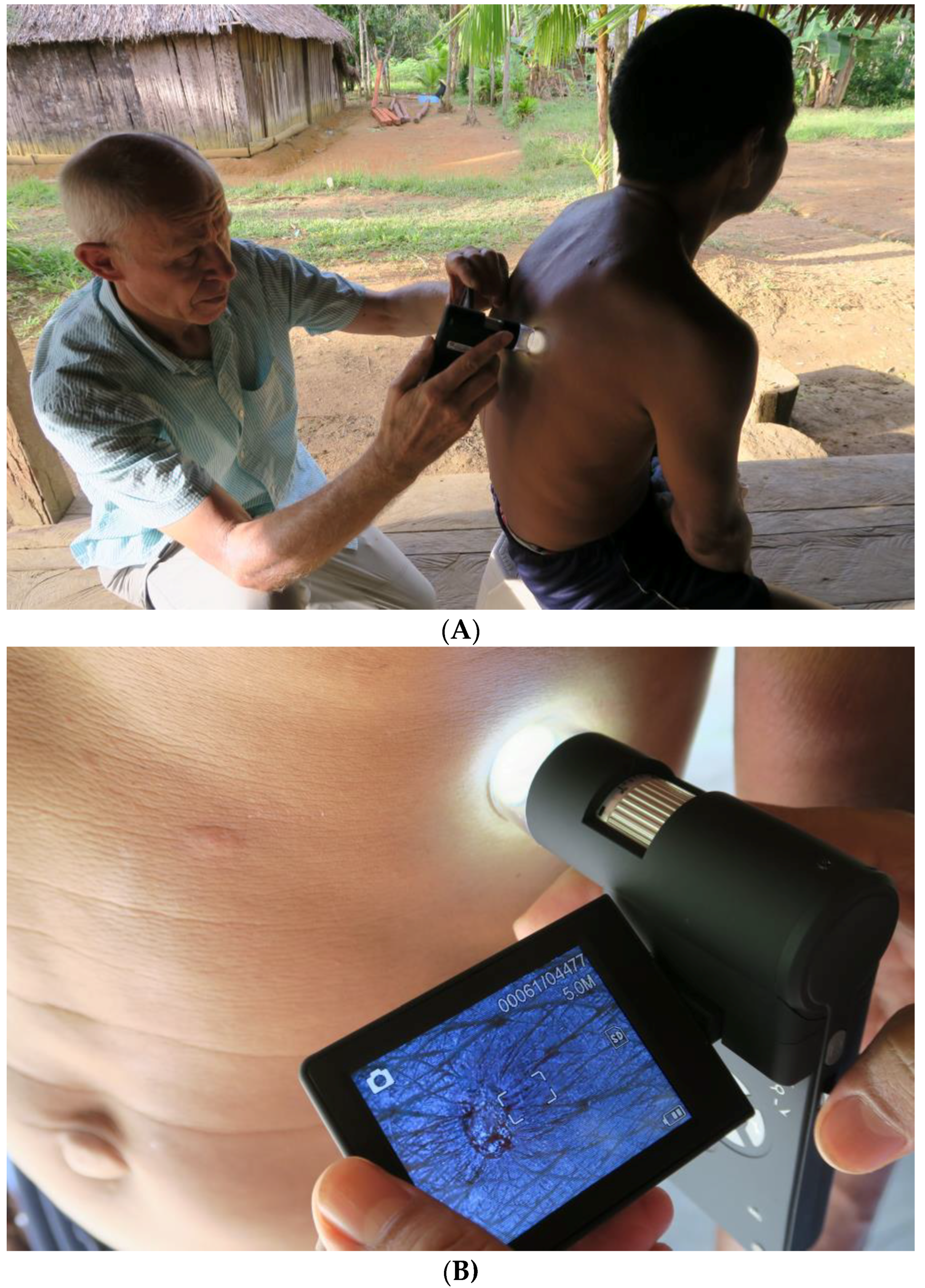 Tropicalmed 03 00116 g004