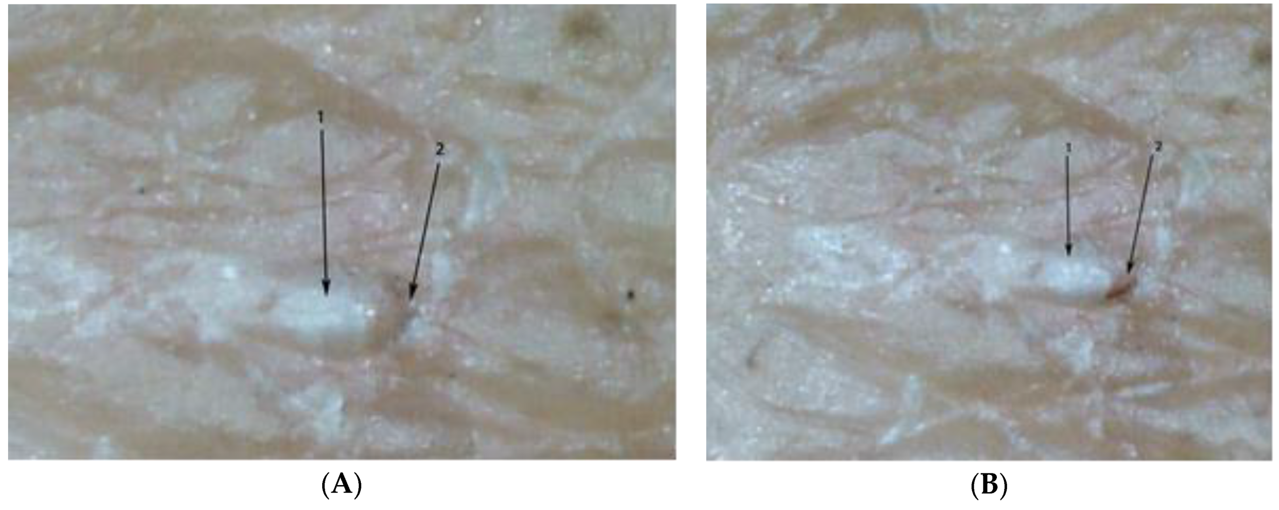 Tropicalmed 03 00116 g007