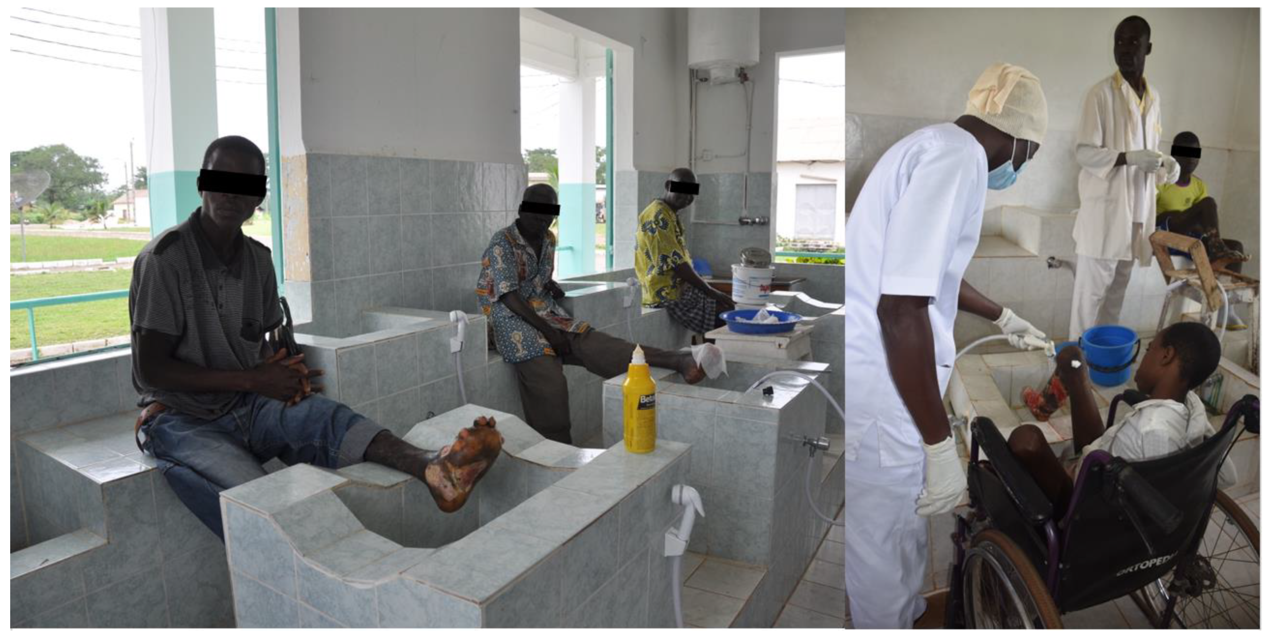 Tropicalmed 03 00120 g002