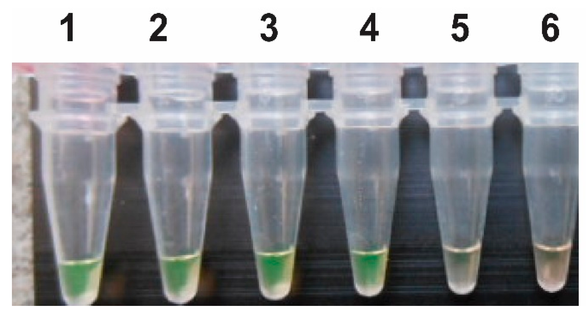 Tropicalmed 03 00124 g002
