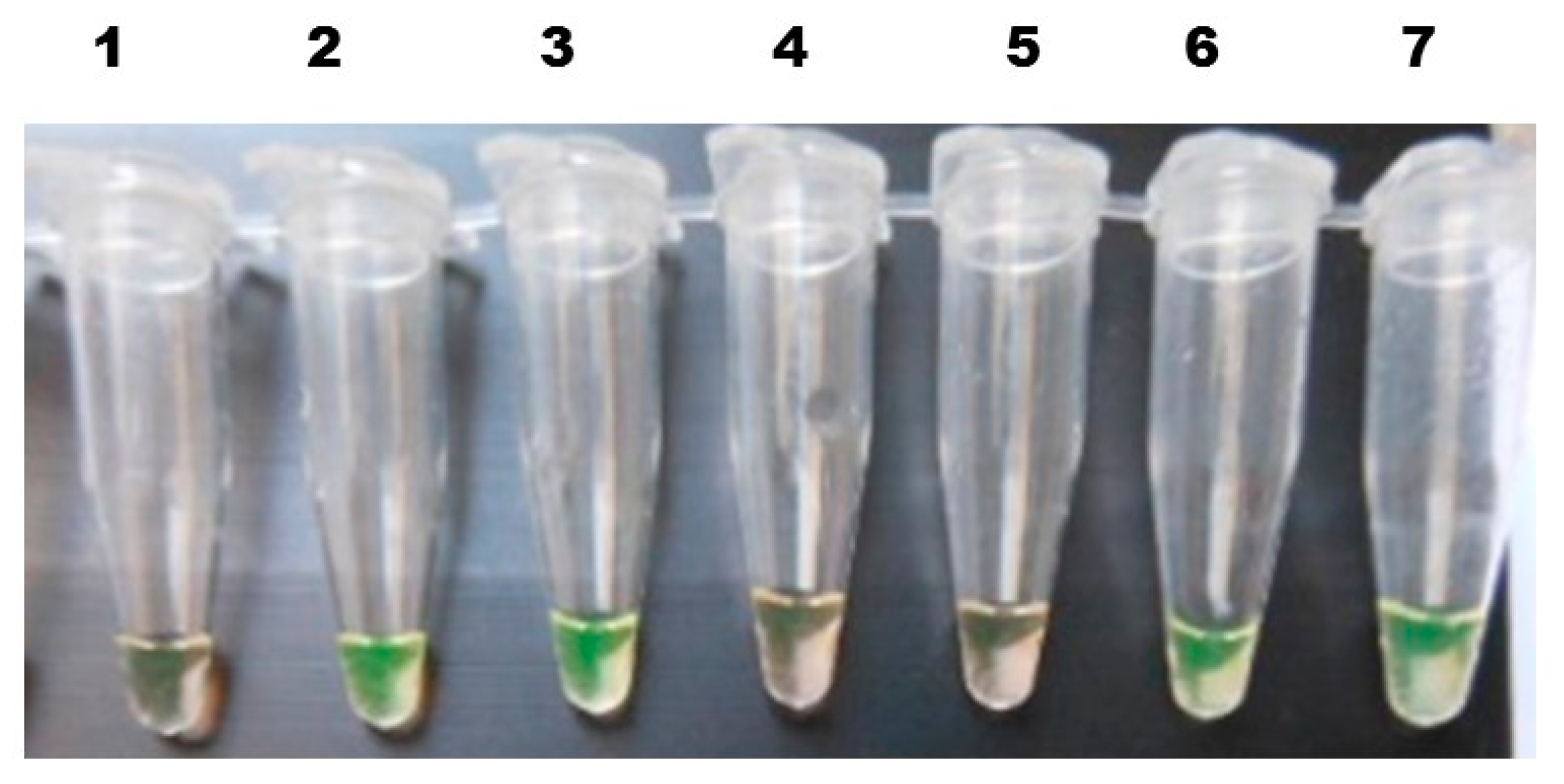 Tropicalmed 03 00124 g003