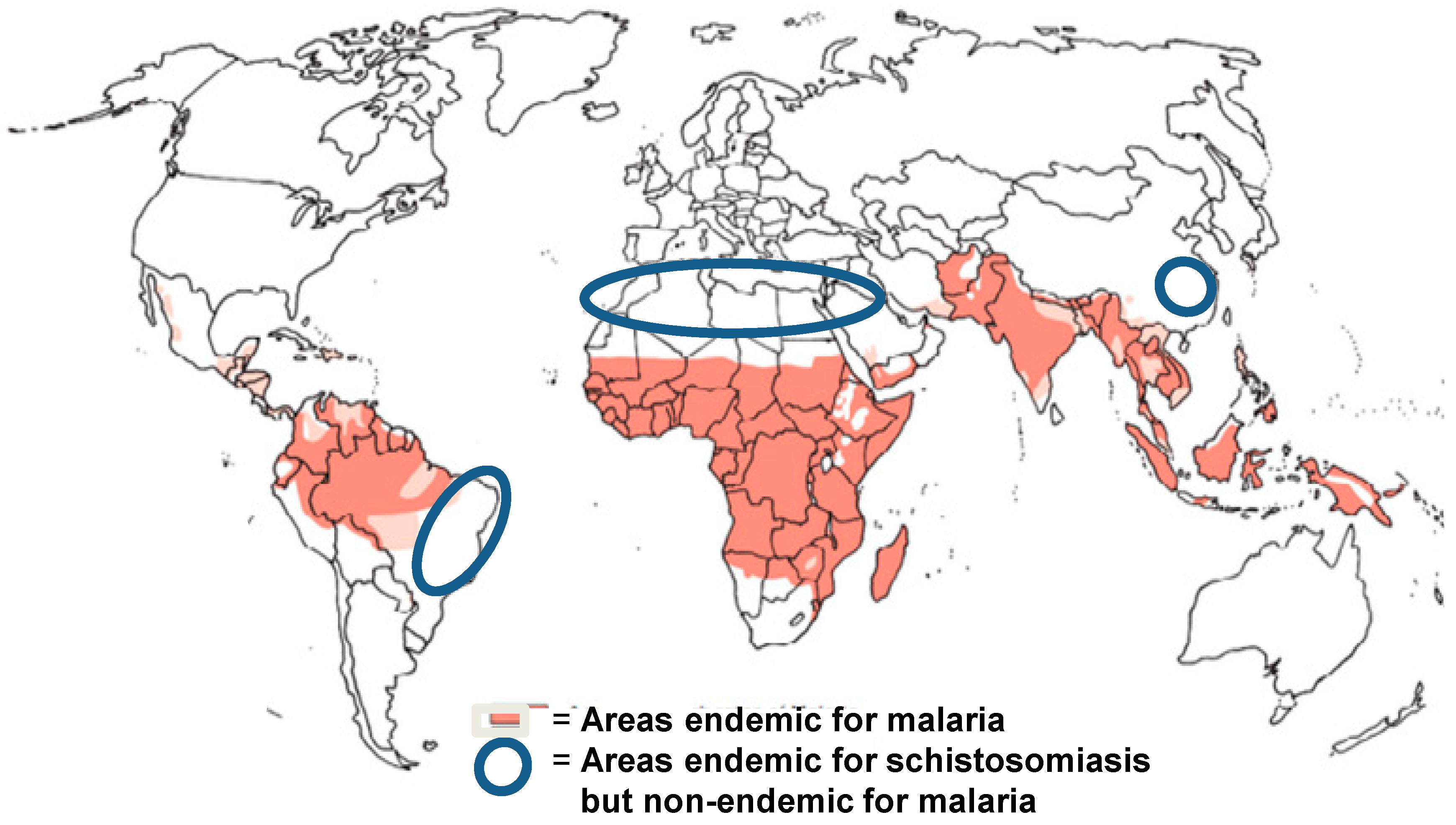 Tropicalmed 03 00125 g002