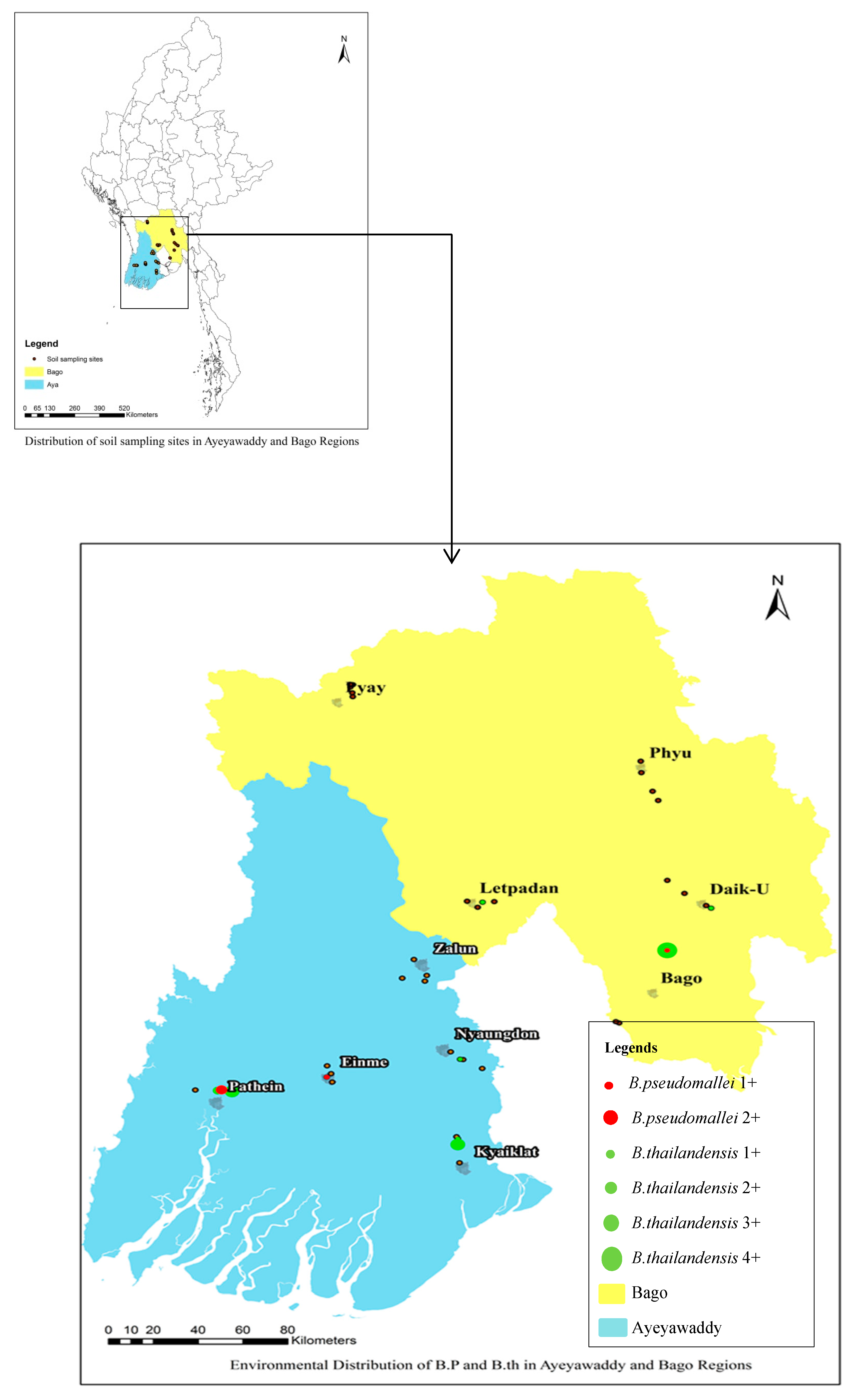 Tropicalmed 04 00008 g001