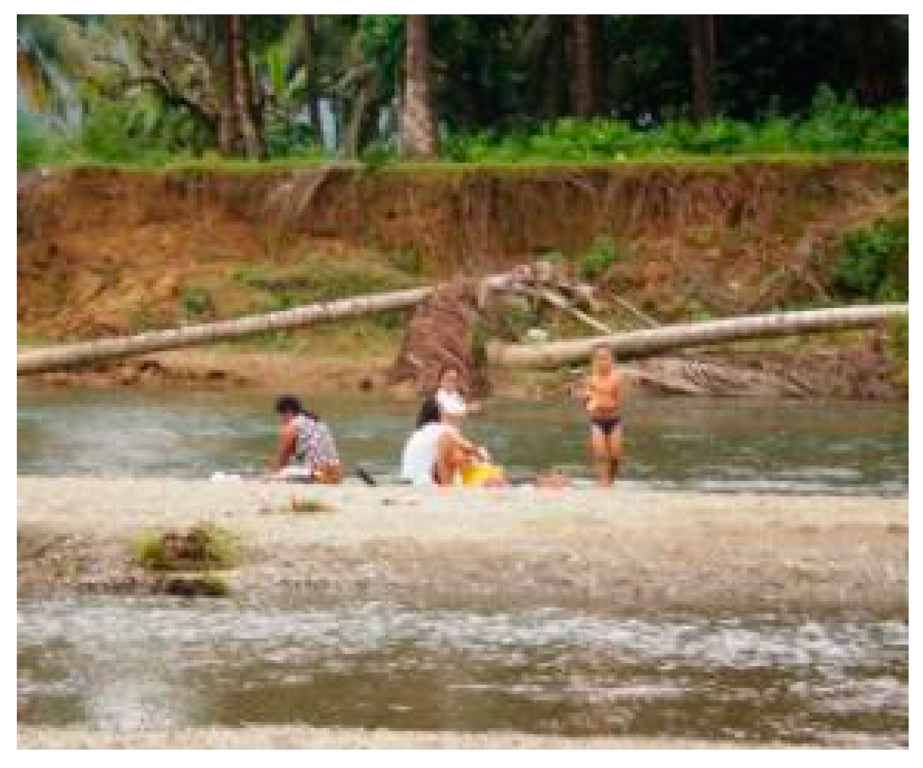 Tropicalmed 04 00040 g004