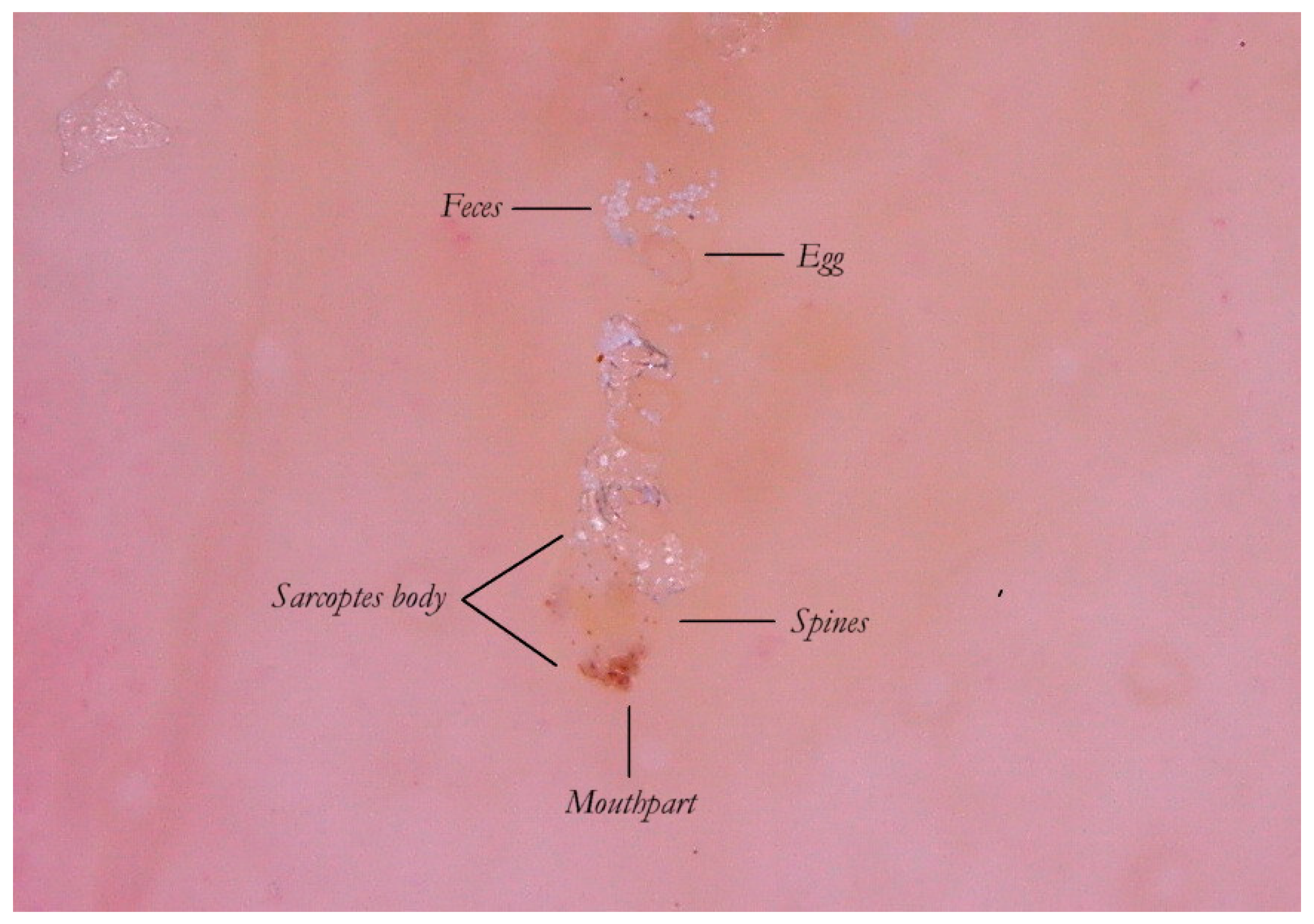 Tropicalmed 04 00048 g005