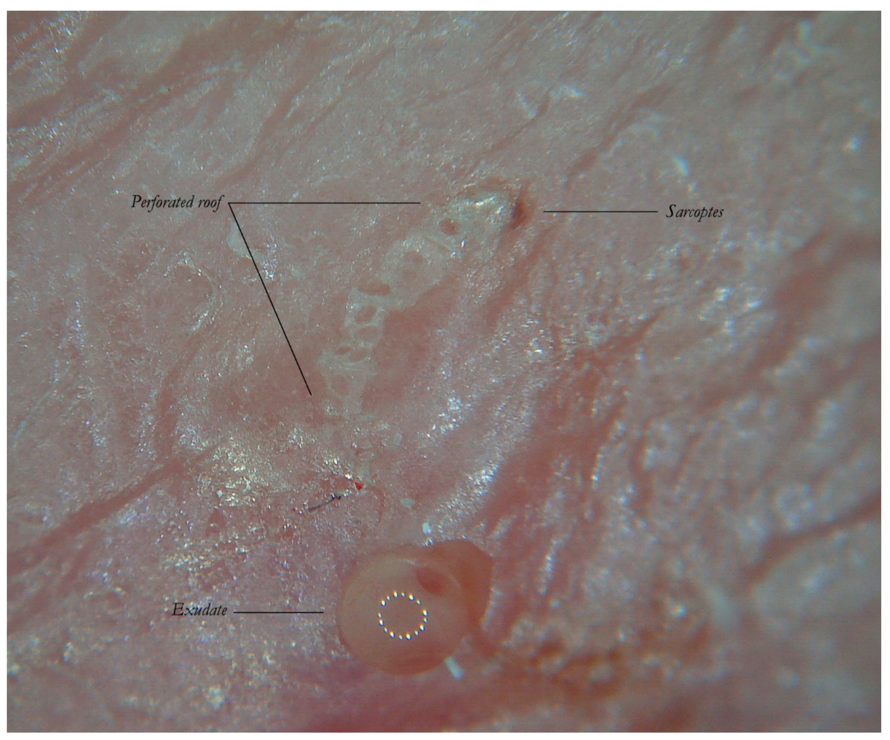 Tropicalmed 04 00048 g006
