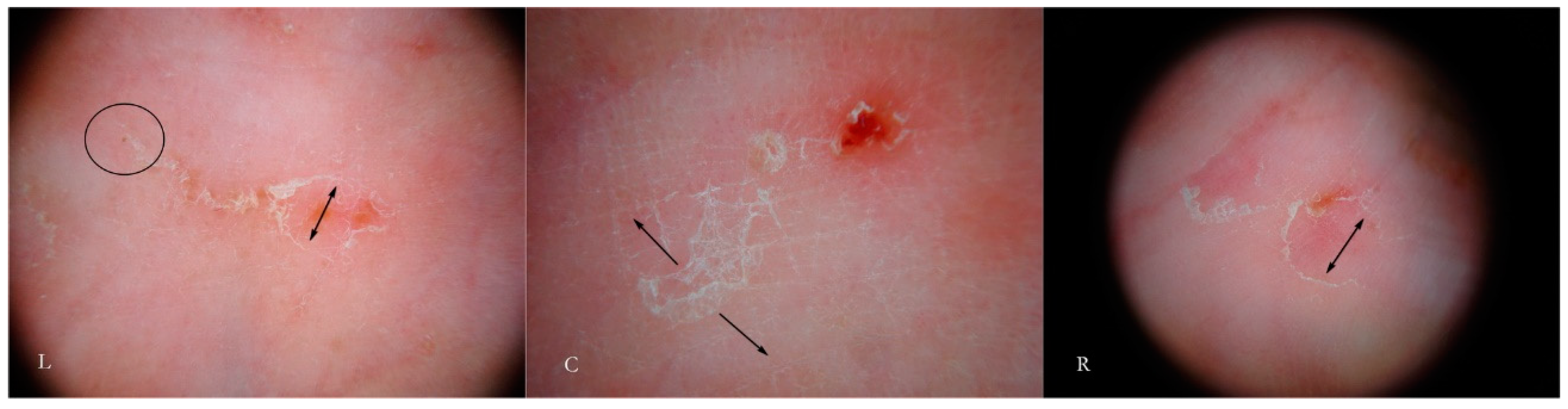 Tropicalmed 04 00048 g013