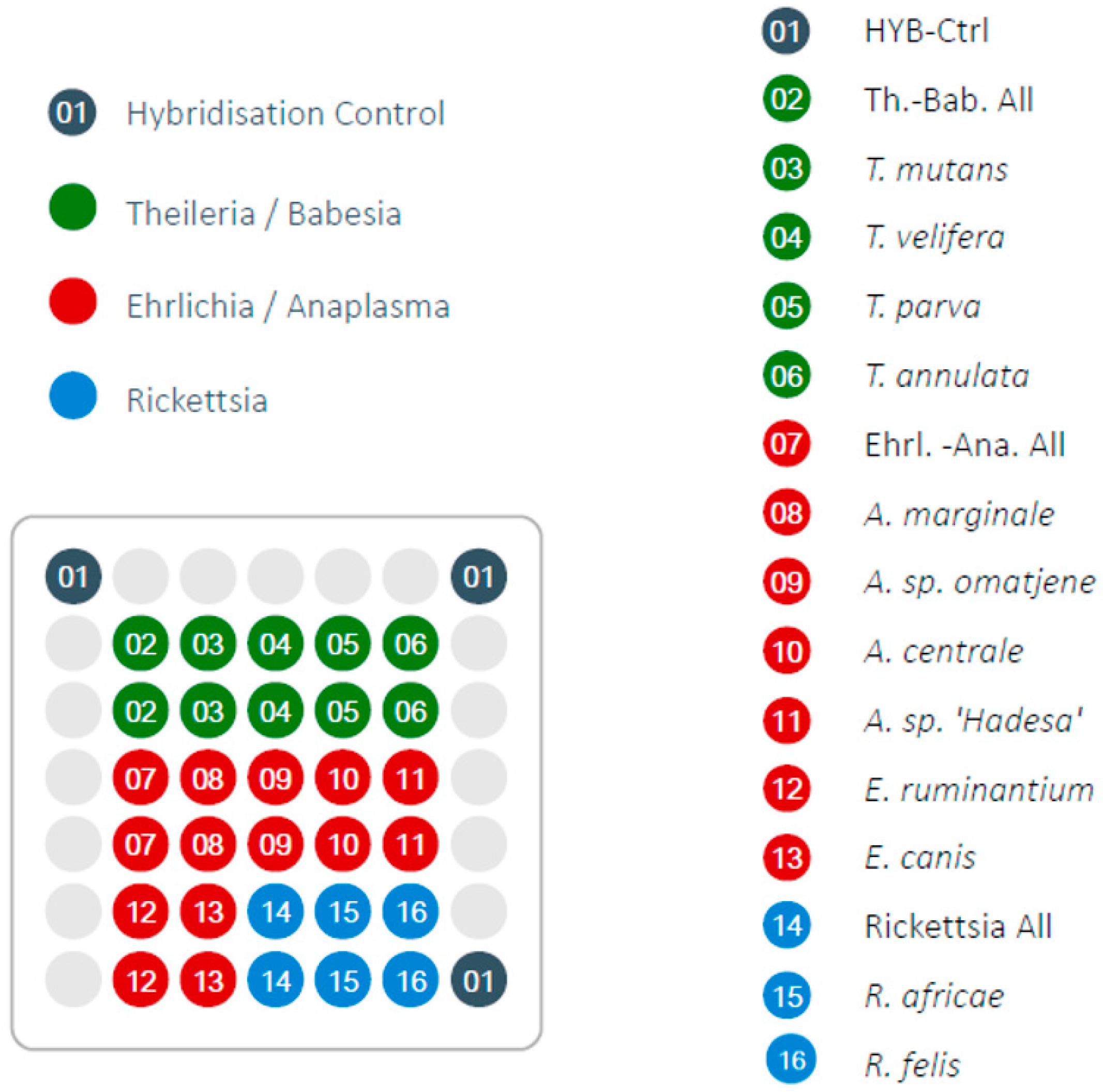 Tropicalmed 04 00064 g001 Tropicalmed 04 00064 g001