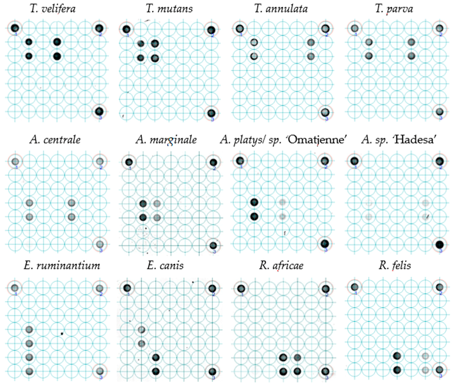 Tropicalmed 04 00064 g002 Tropicalmed 04 00064 g002