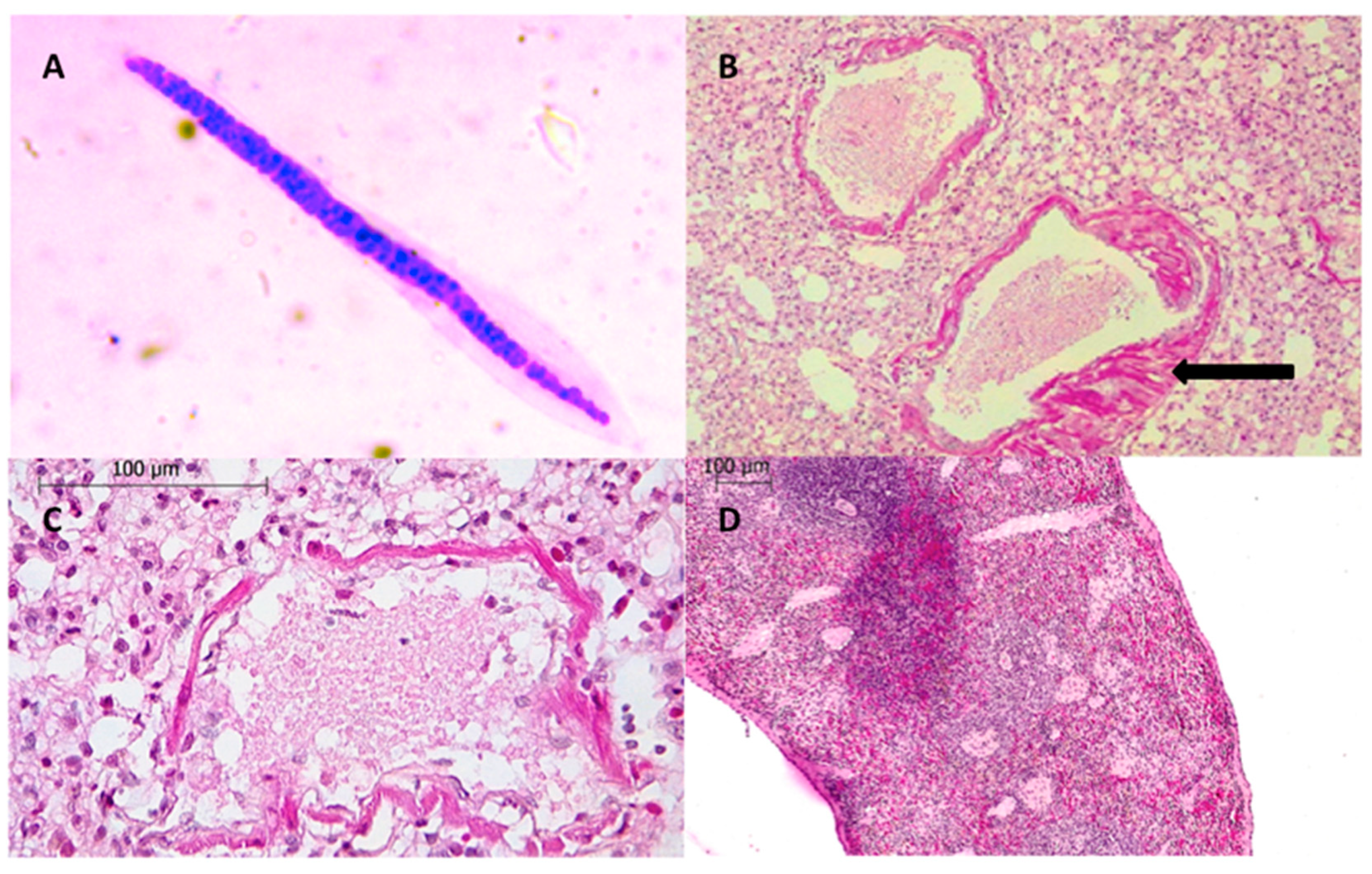 Tropicalmed 04 00077 g001