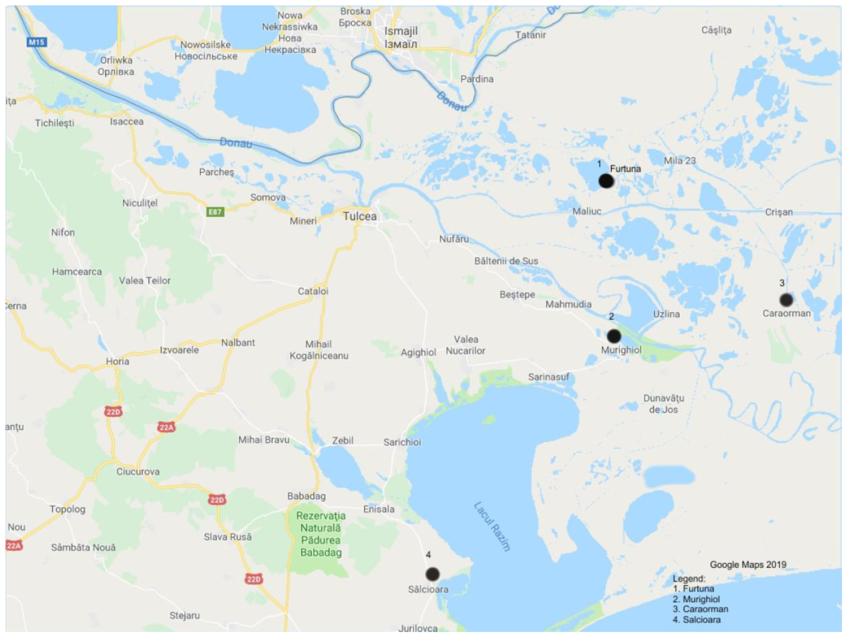 Tropicalmed 04 00116 g001