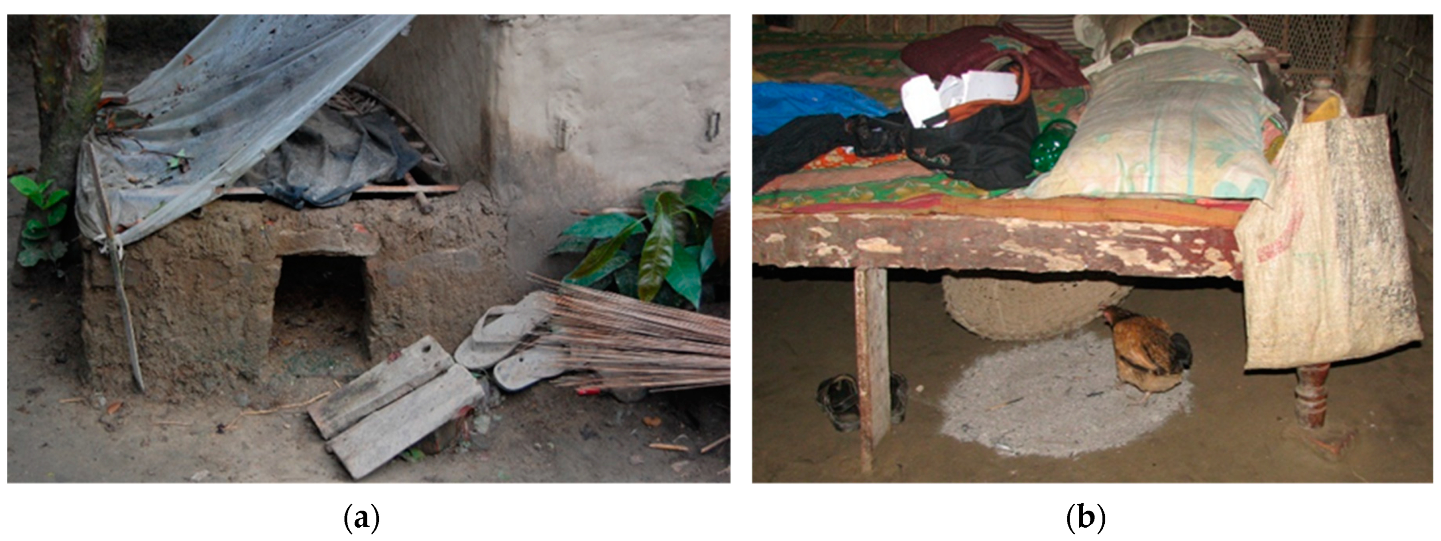 Tropicalmed 04 00119 g001